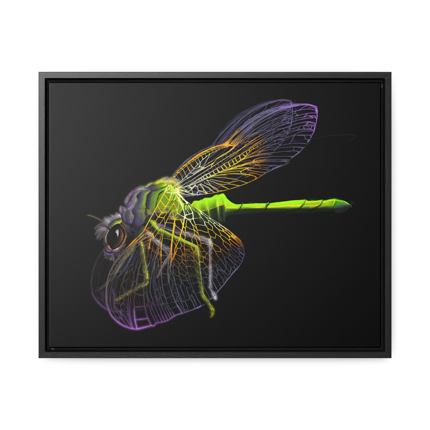 Dragonfly Gallery Canvas Wrap, Horizontal Frame
