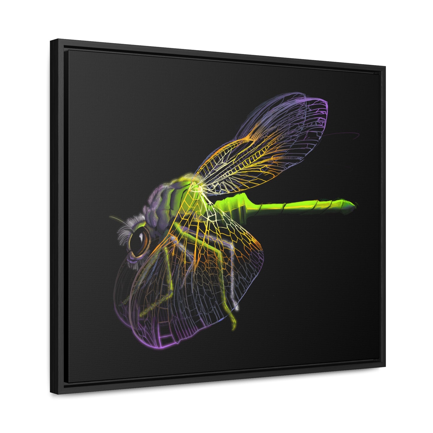 Dragonfly Gallery Canvas Wrap, Horizontal Frame