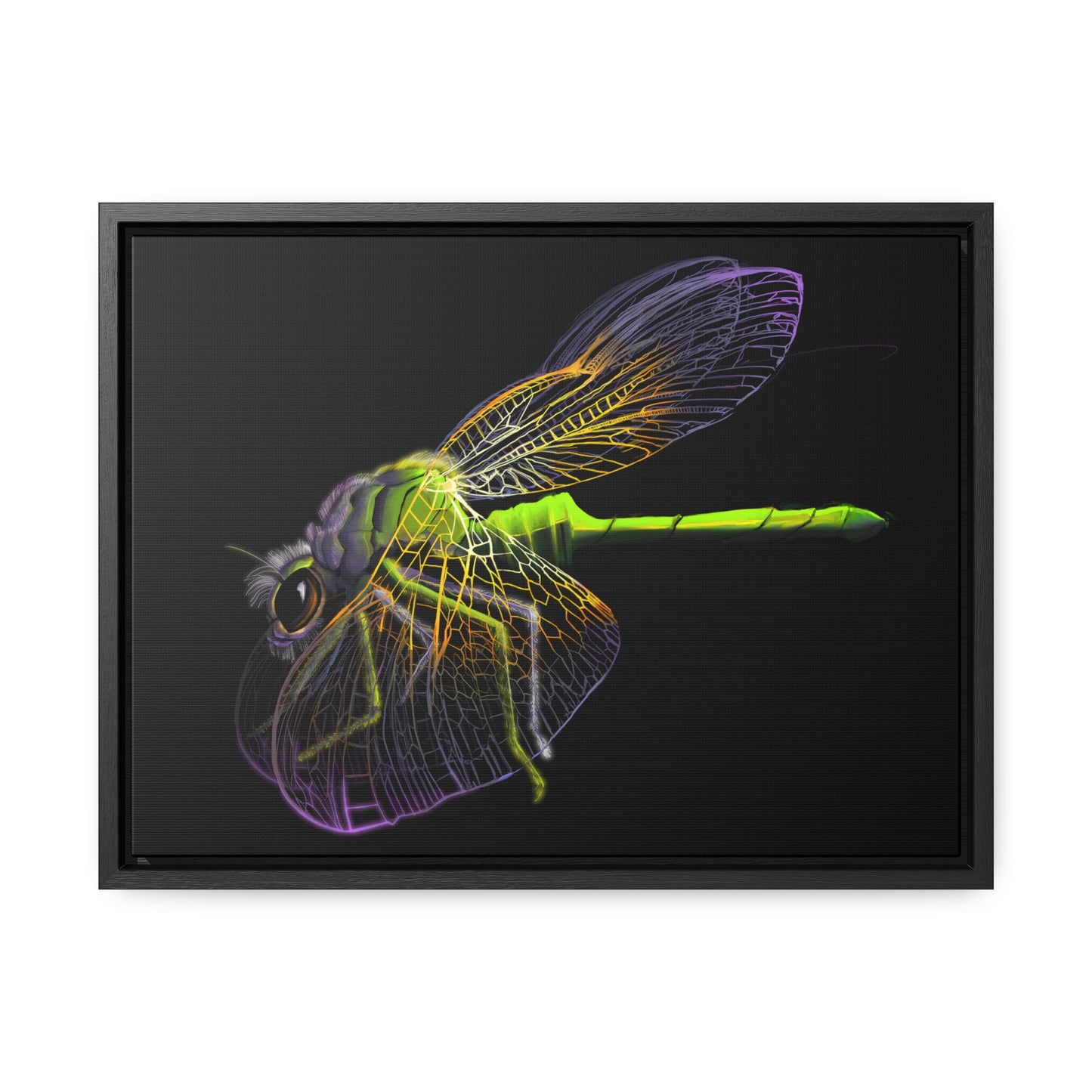 Dragonfly Gallery Canvas Wrap, Horizontal Frame