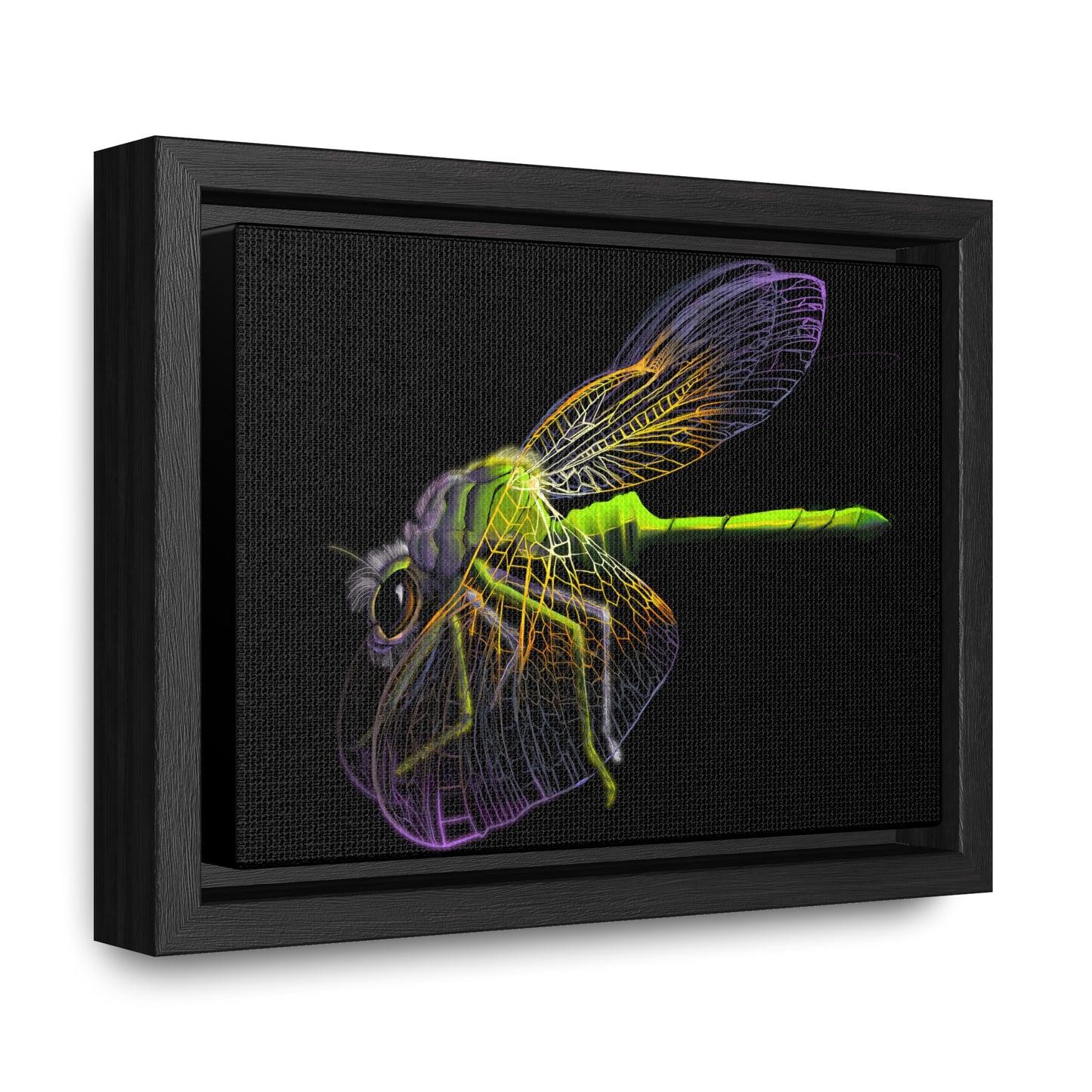 Dragonfly Gallery Canvas Wrap, Horizontal Frame