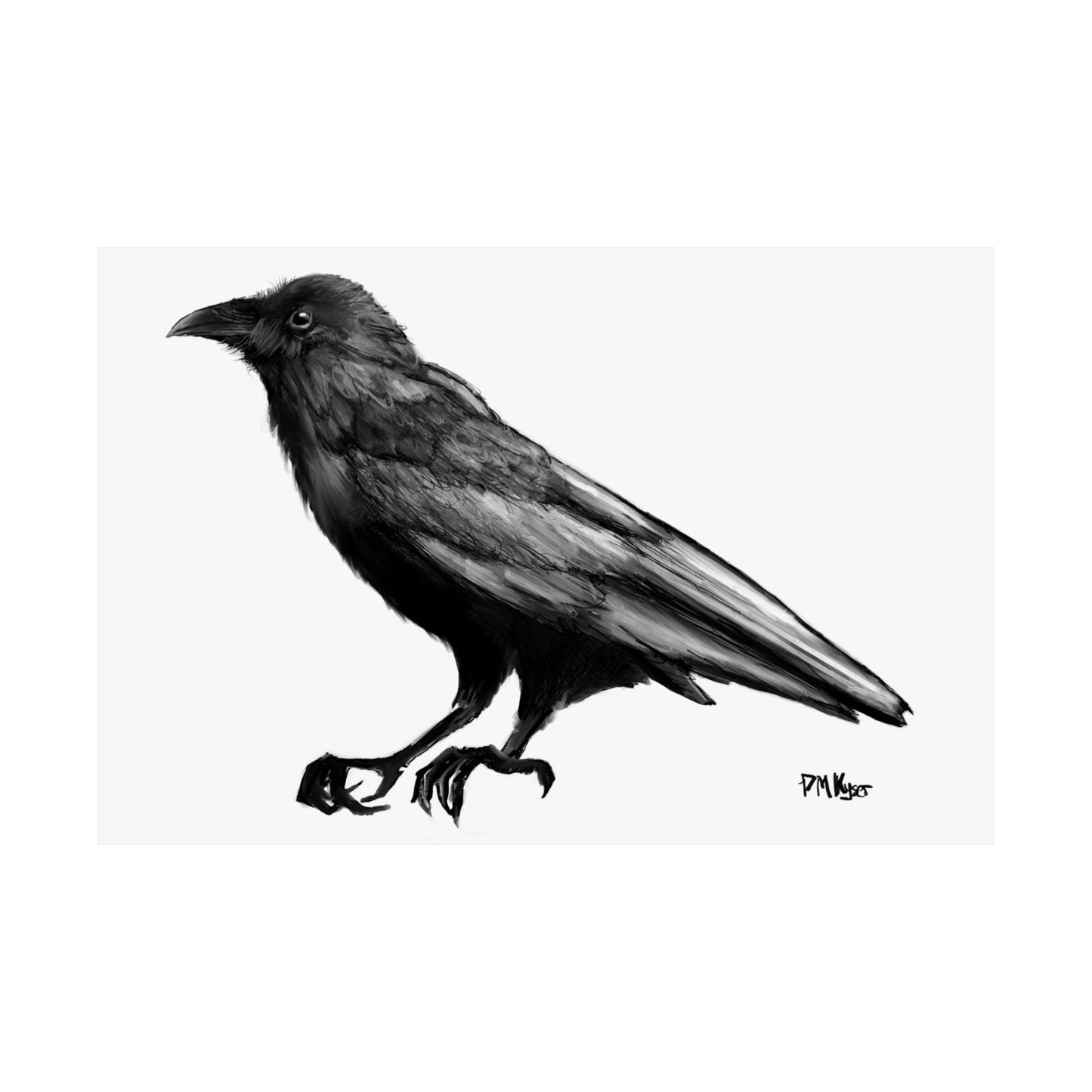 Raven Matte Horizontal Poster