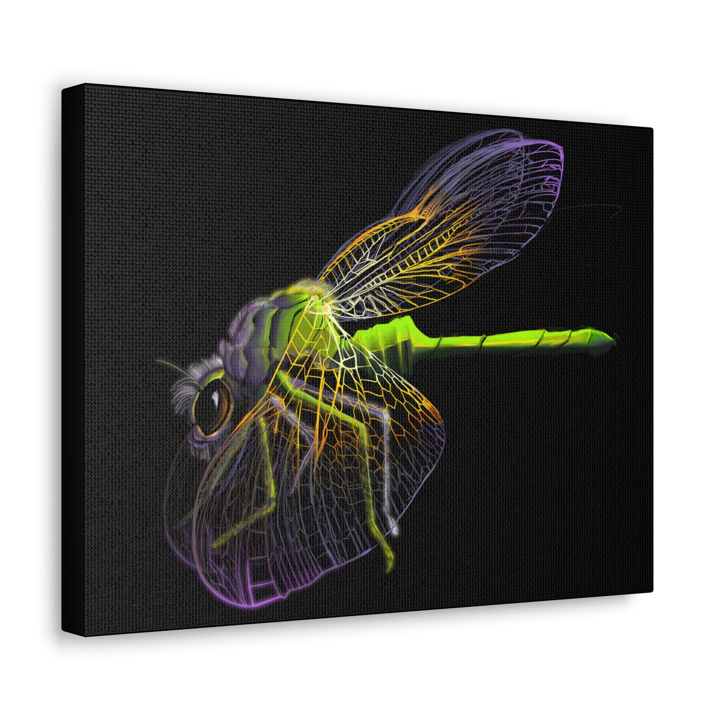 Dragonfly Canvas Gallery Wrap