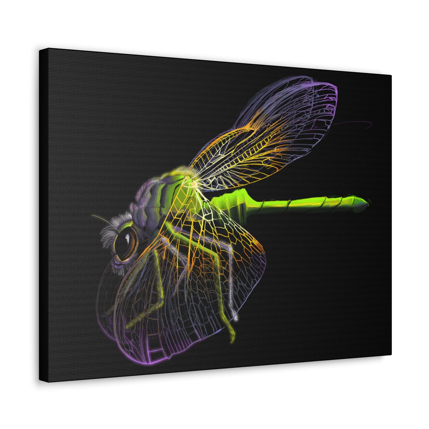 Dragonfly Canvas Gallery Wrap