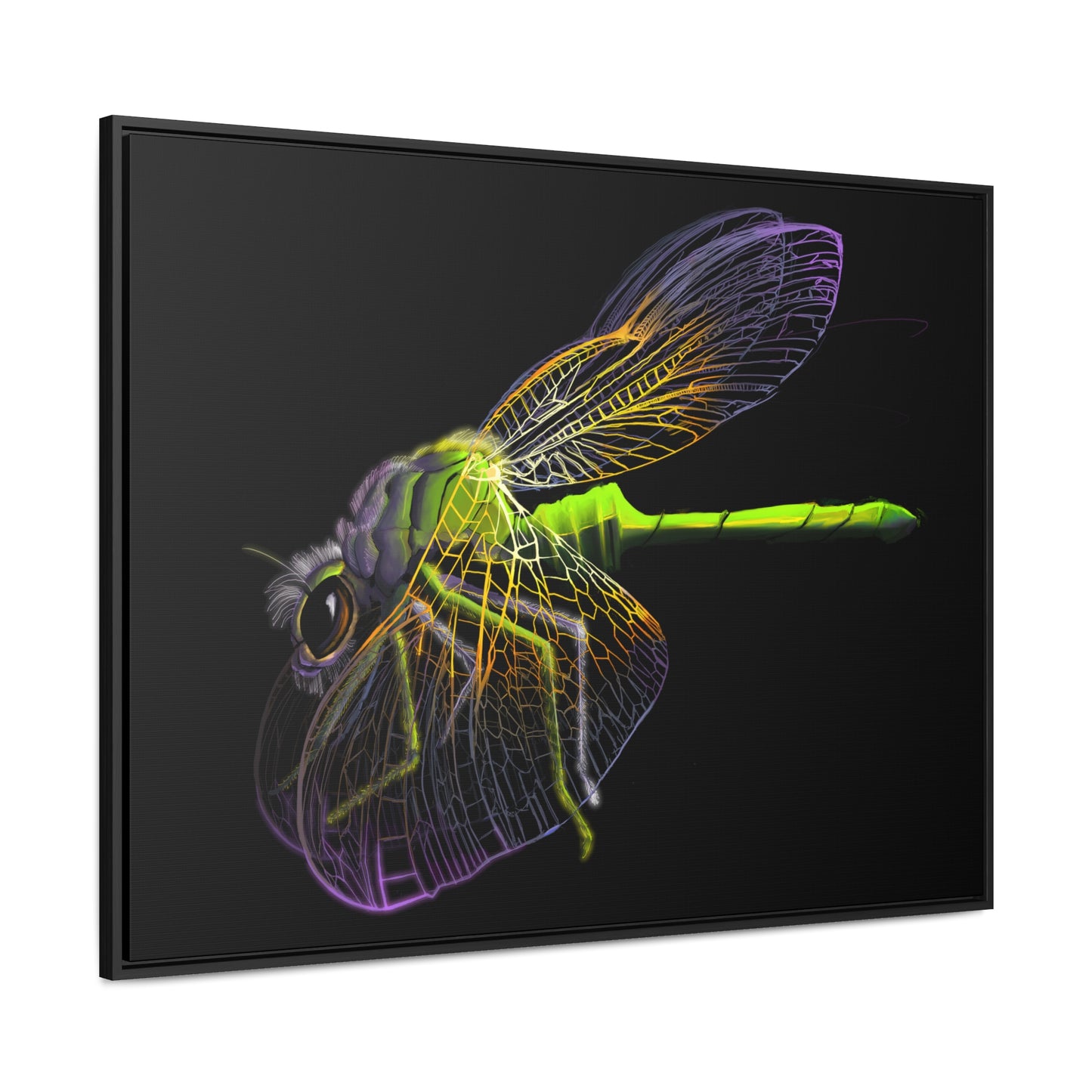 Dragonfly Gallery Canvas Wrap, Horizontal Frame