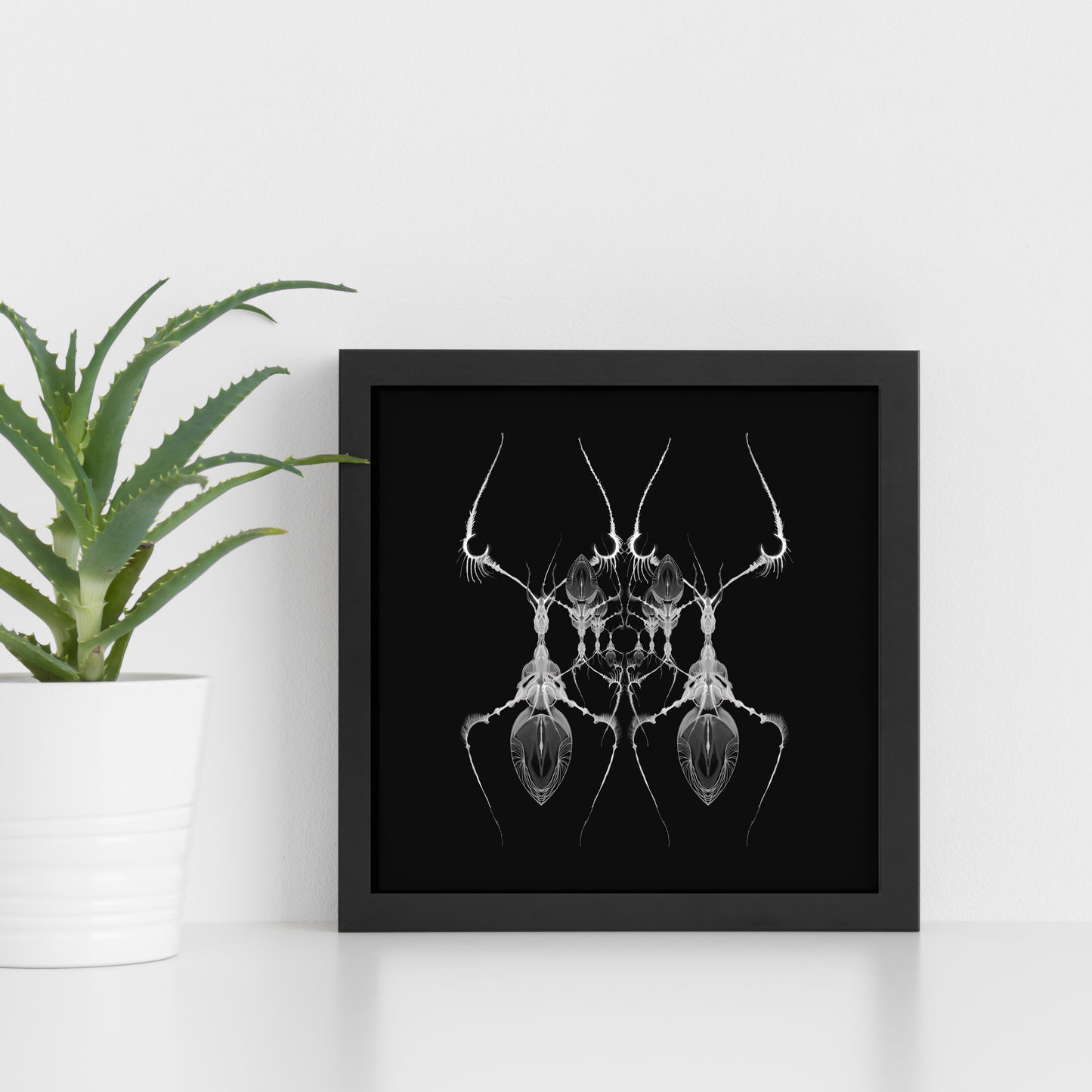 AntWeb 8x8 Art Print