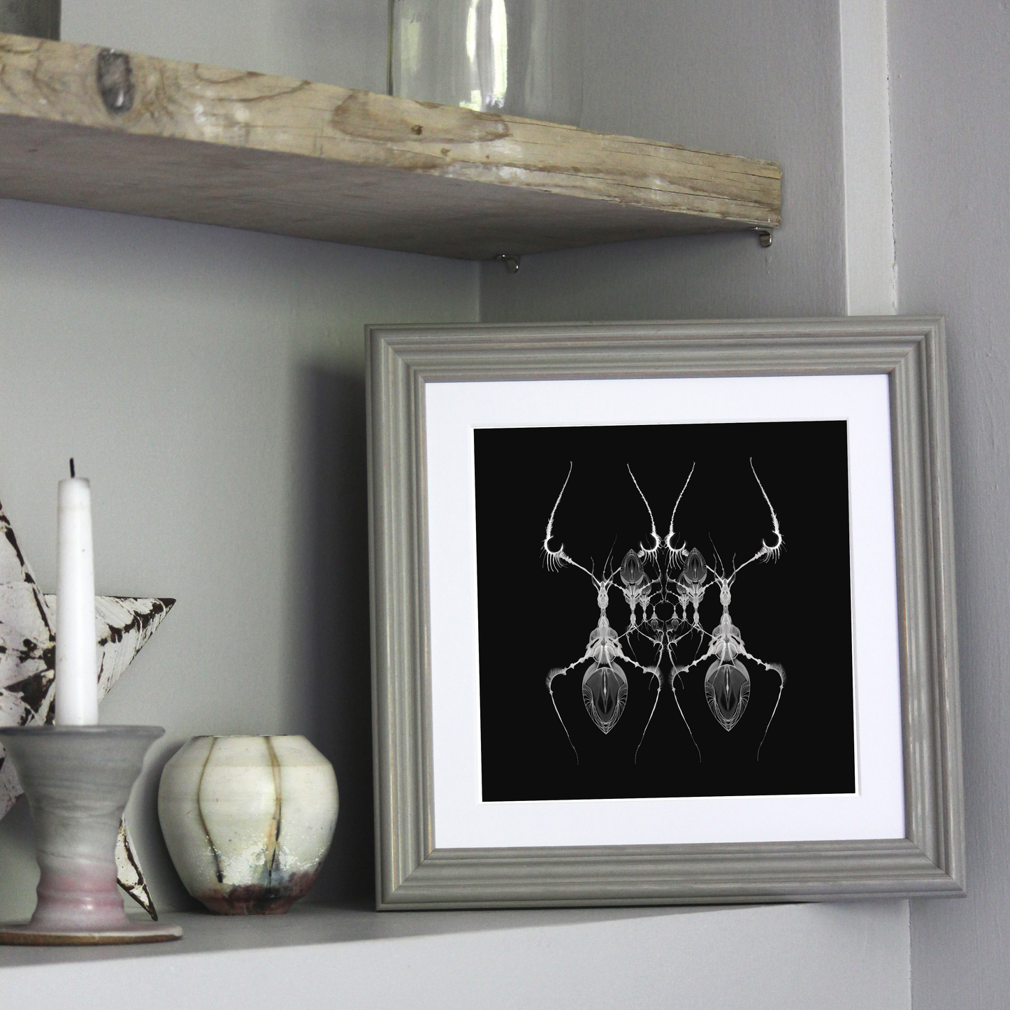 AntWeb 8x8 Art Print
