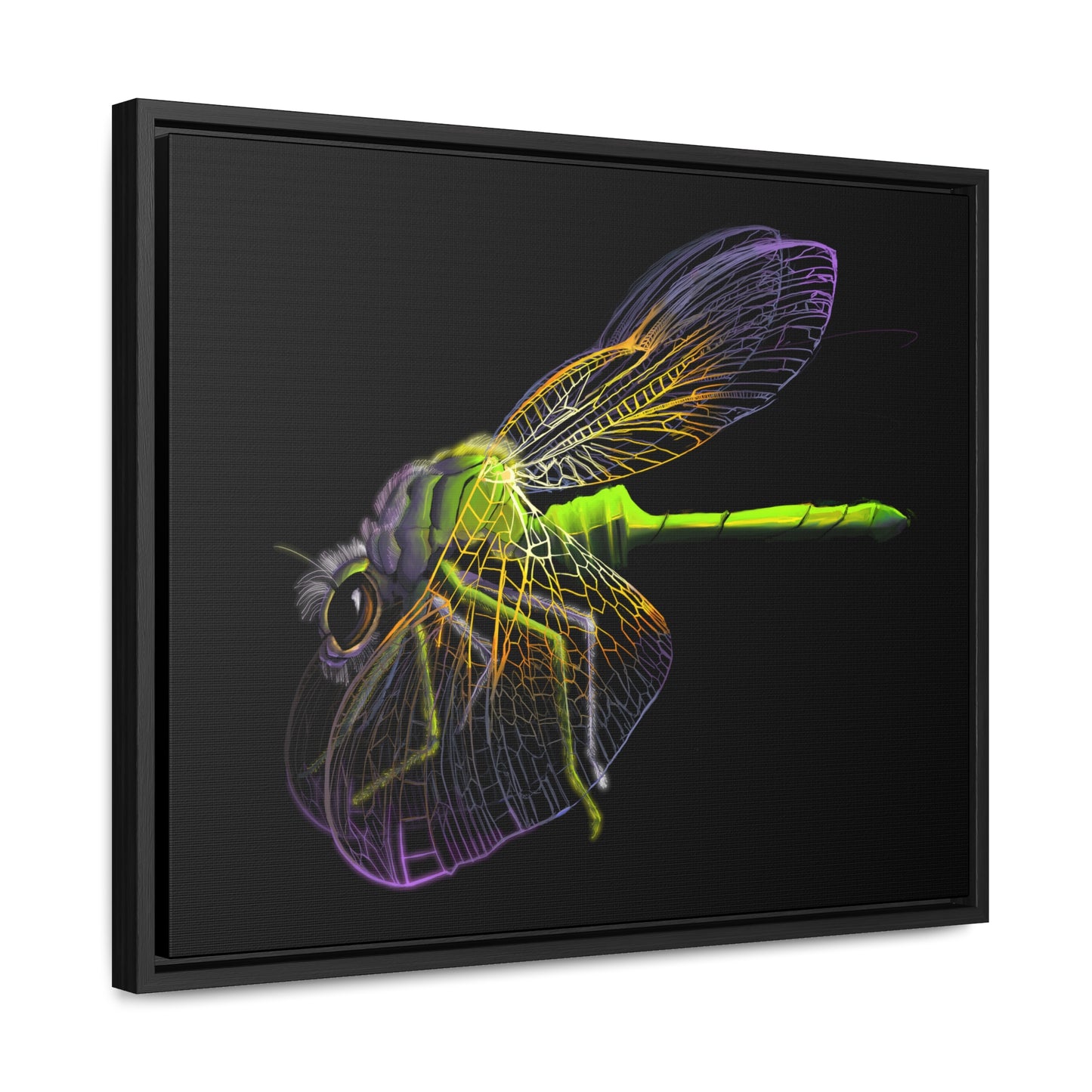 Dragonfly Gallery Canvas Wrap, Horizontal Frame