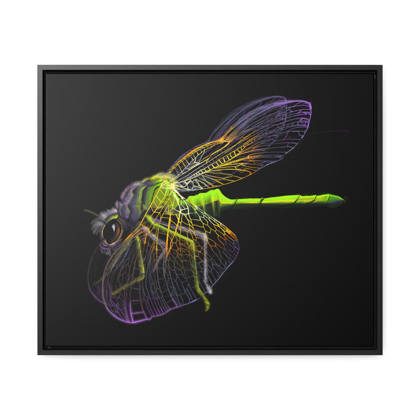 Dragonfly Gallery Canvas Wrap, Horizontal Frame