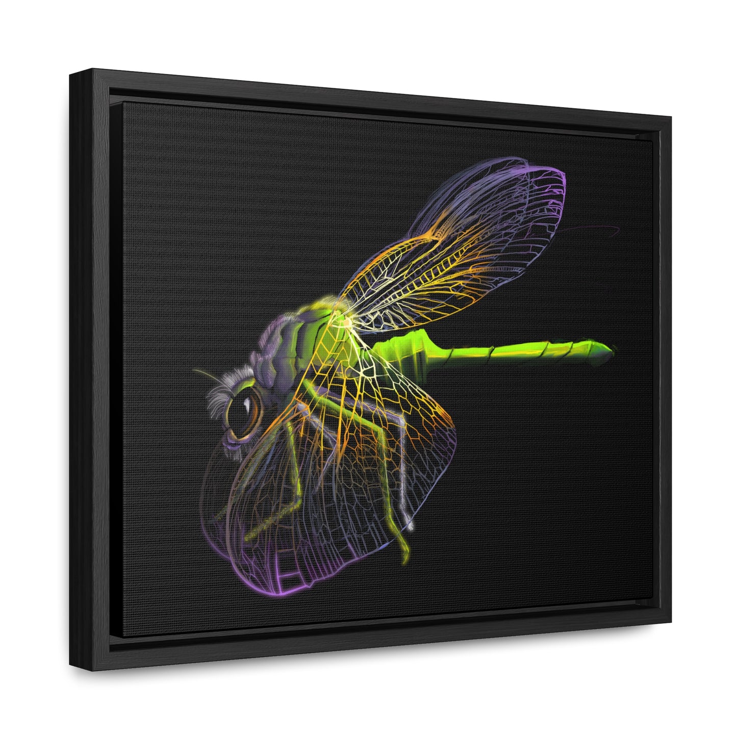 Dragonfly Gallery Canvas Wrap, Horizontal Frame