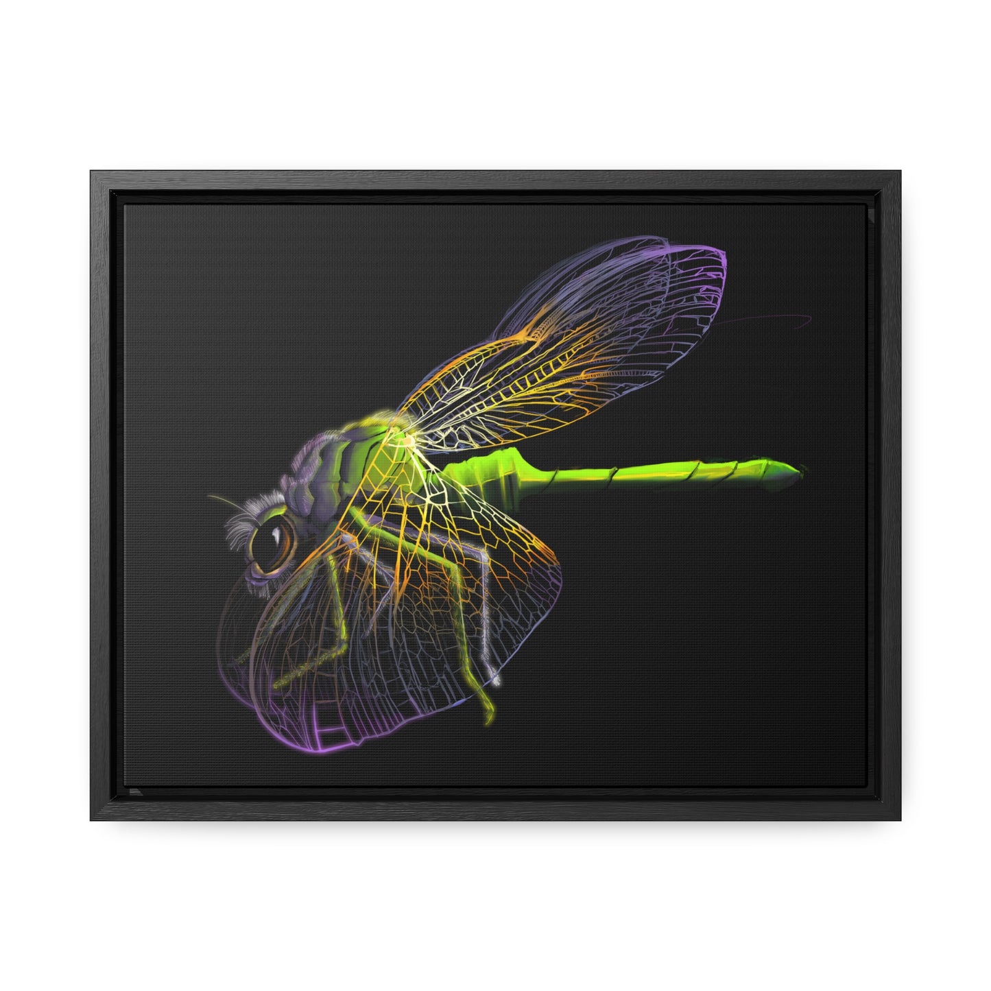 Dragonfly Gallery Canvas Wrap, Horizontal Frame