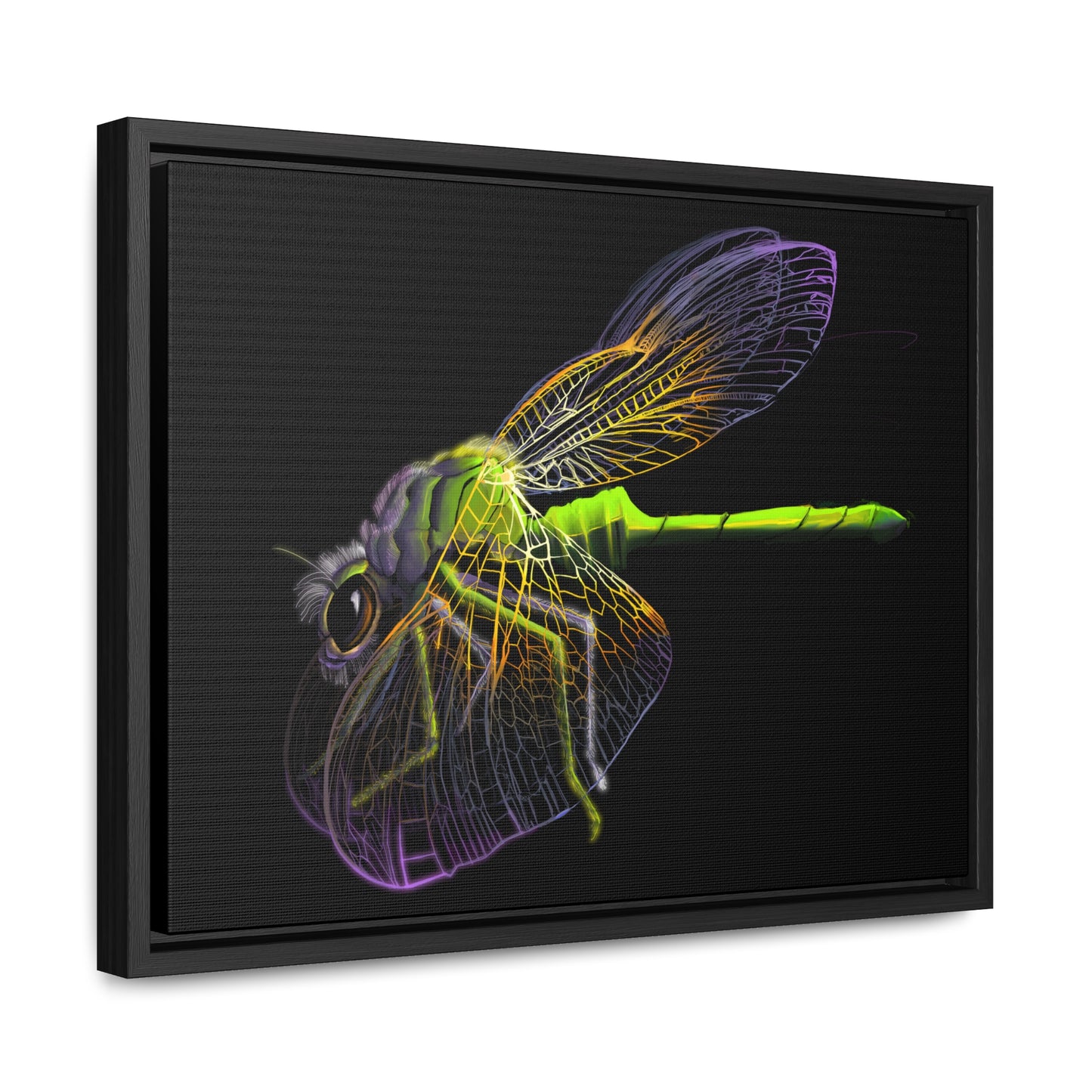 Dragonfly Gallery Canvas Wrap, Horizontal Frame
