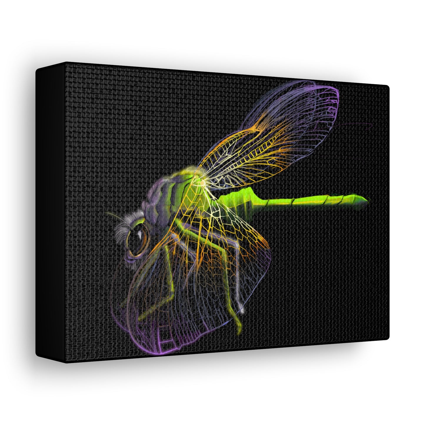 Dragonfly Canvas Gallery Wrap