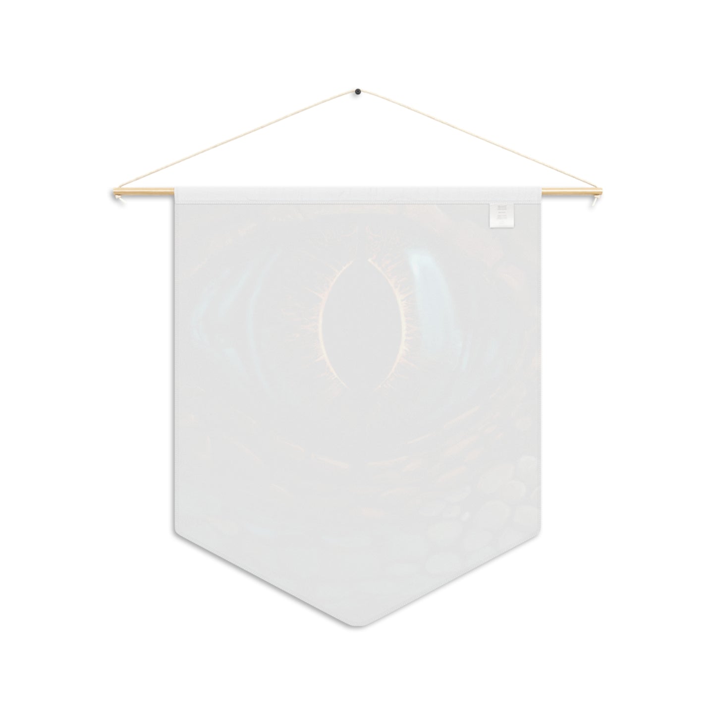 Ancient Eye Pennant
