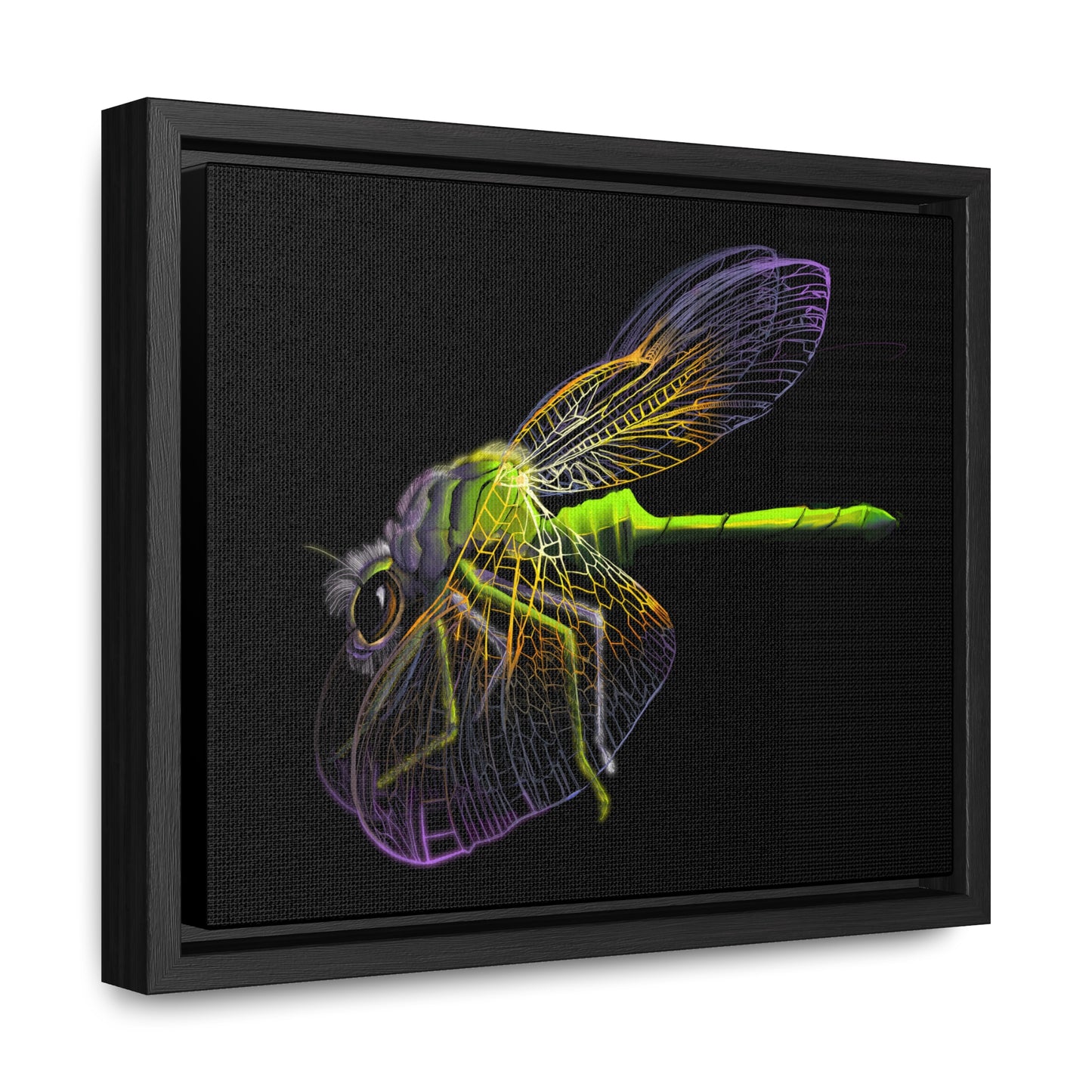 Dragonfly Gallery Canvas Wrap, Horizontal Frame