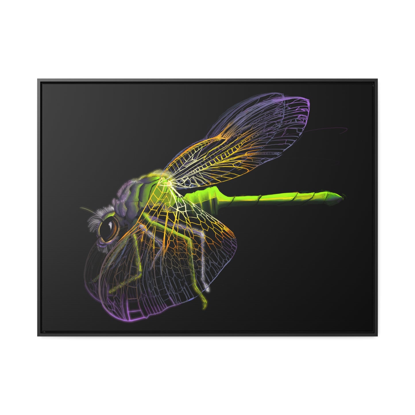 Dragonfly Gallery Canvas Wrap, Horizontal Frame