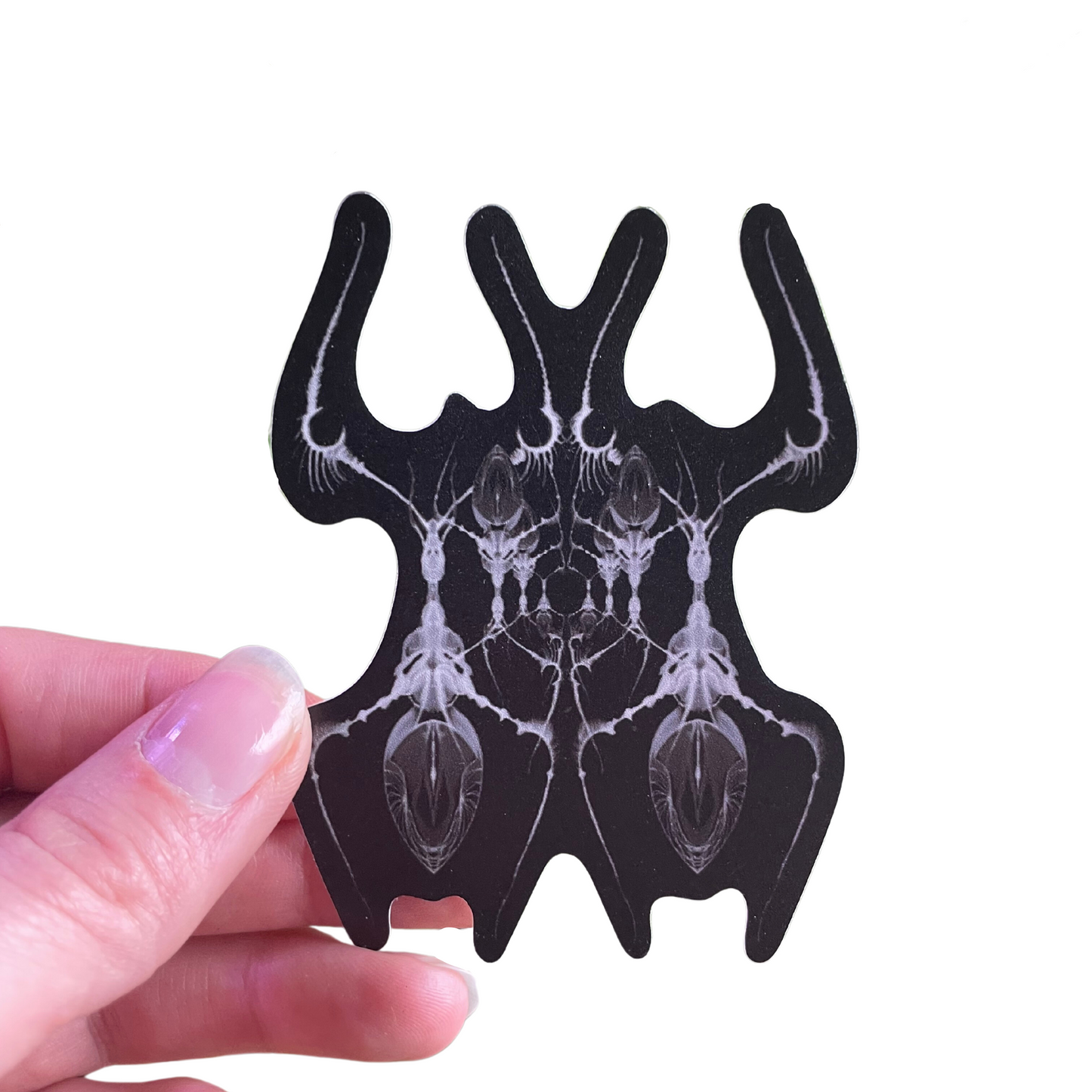 AntWeb Vinyl Sticker