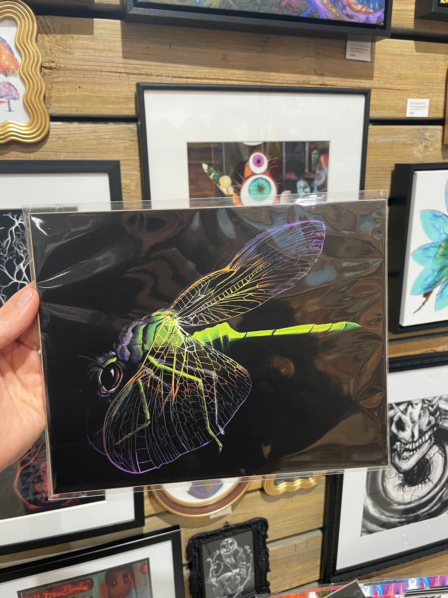 Dragonfly Art Print