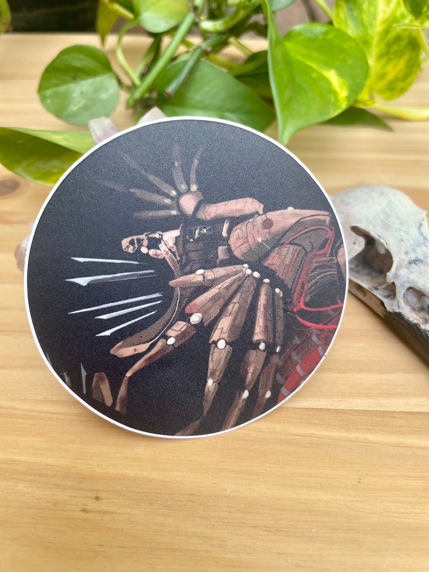 Phlebotomite Vinyl Sticker