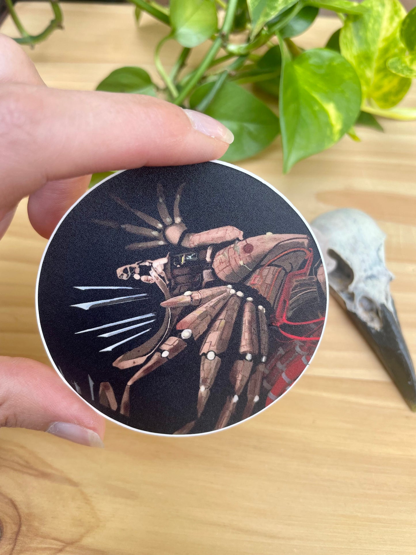 Phlebotomite Vinyl Sticker