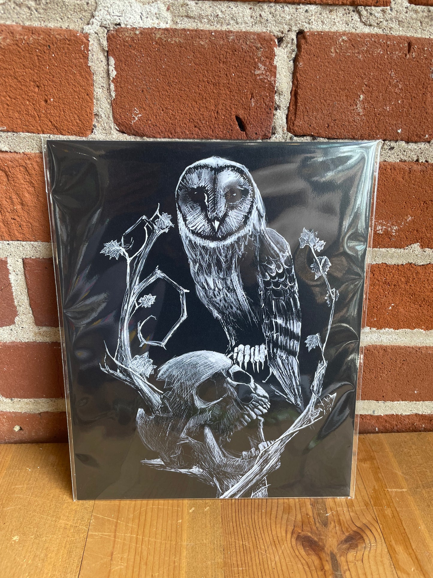 Skull and Owl Art Print