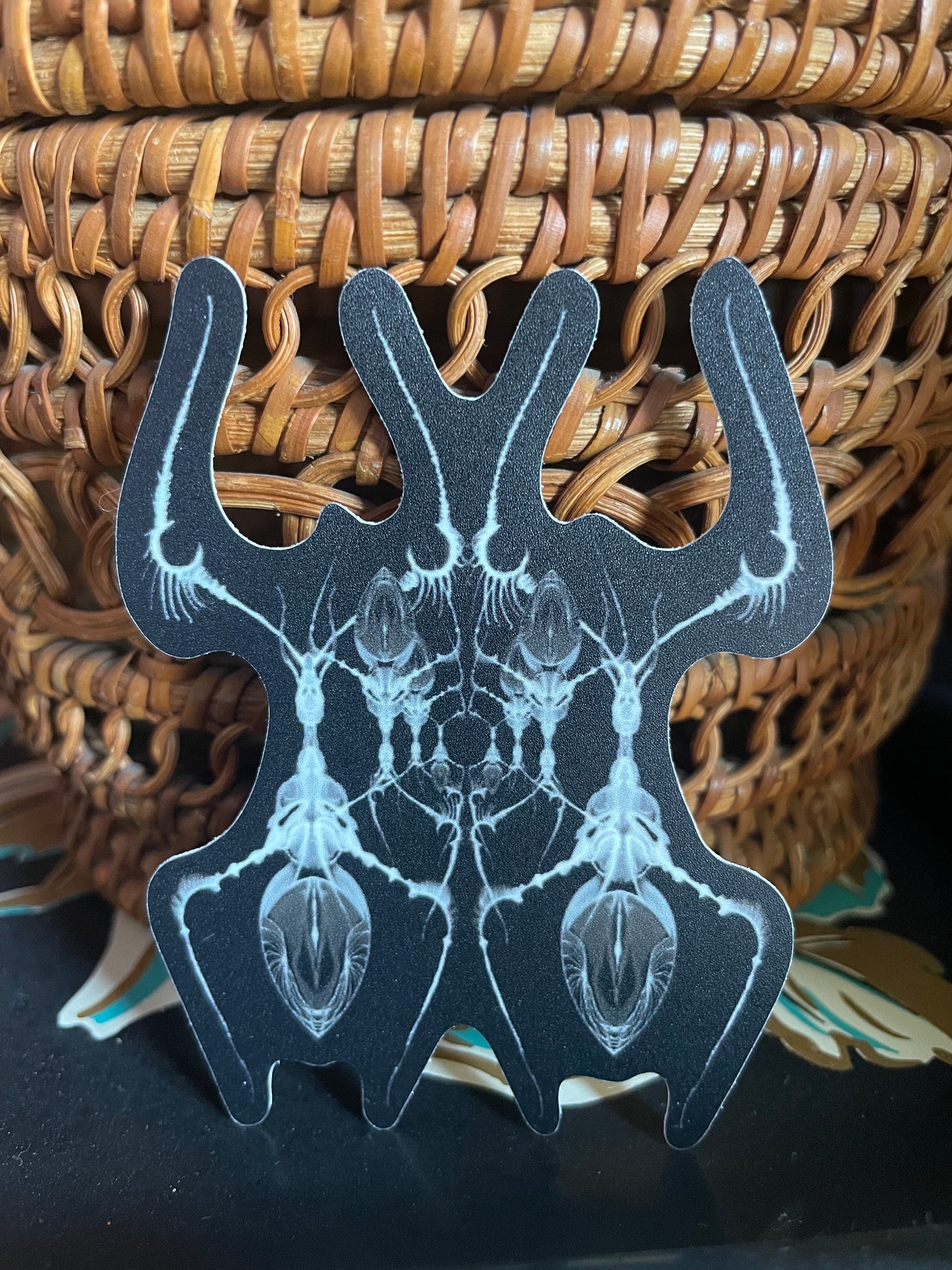 AntWeb Vinyl Sticker