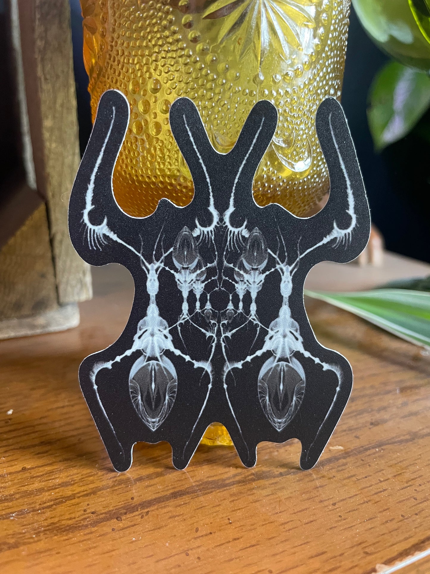 AntWeb Vinyl Sticker