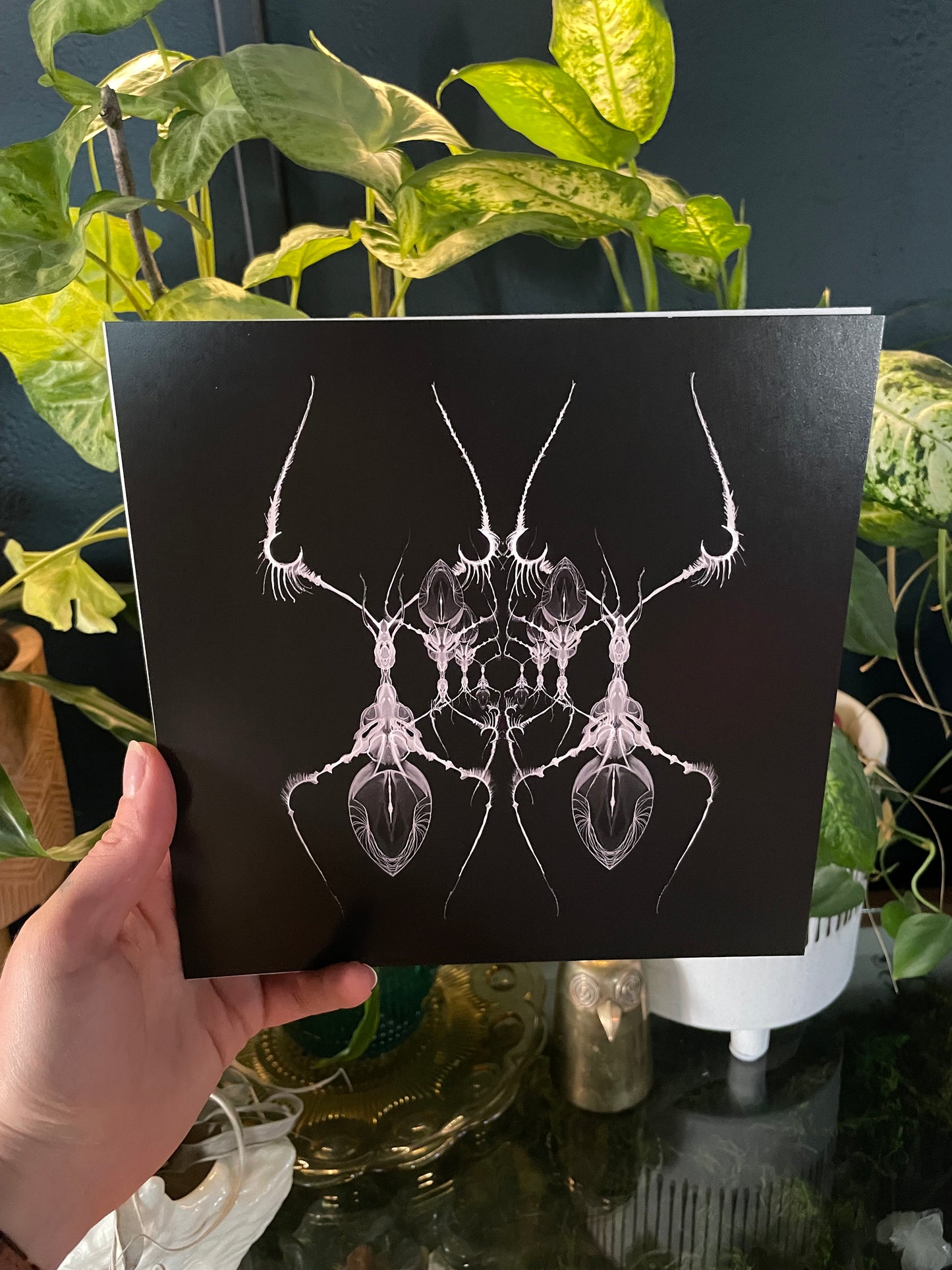 AntWeb 8x8 Art Print