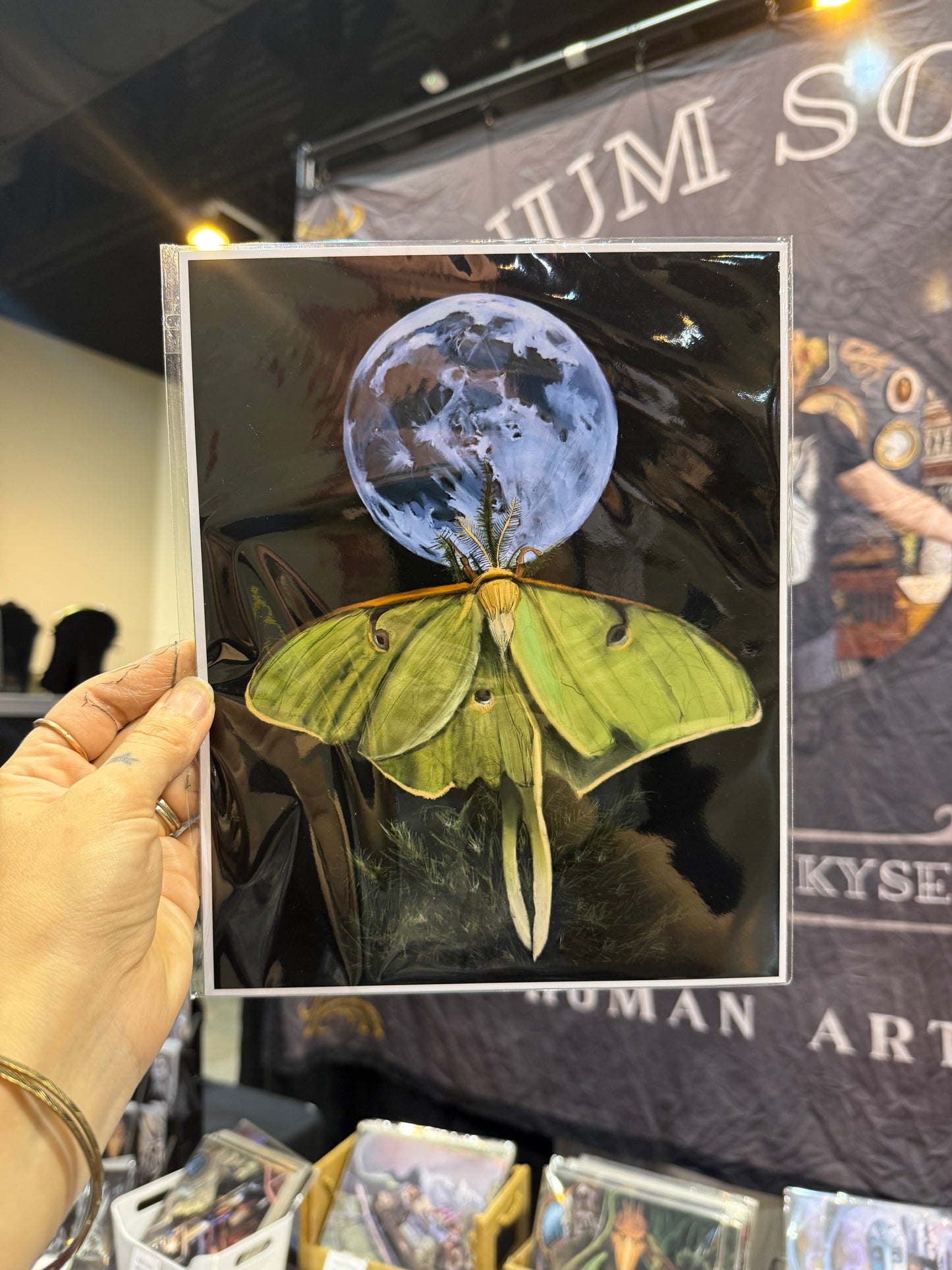Luna Moth Art Print