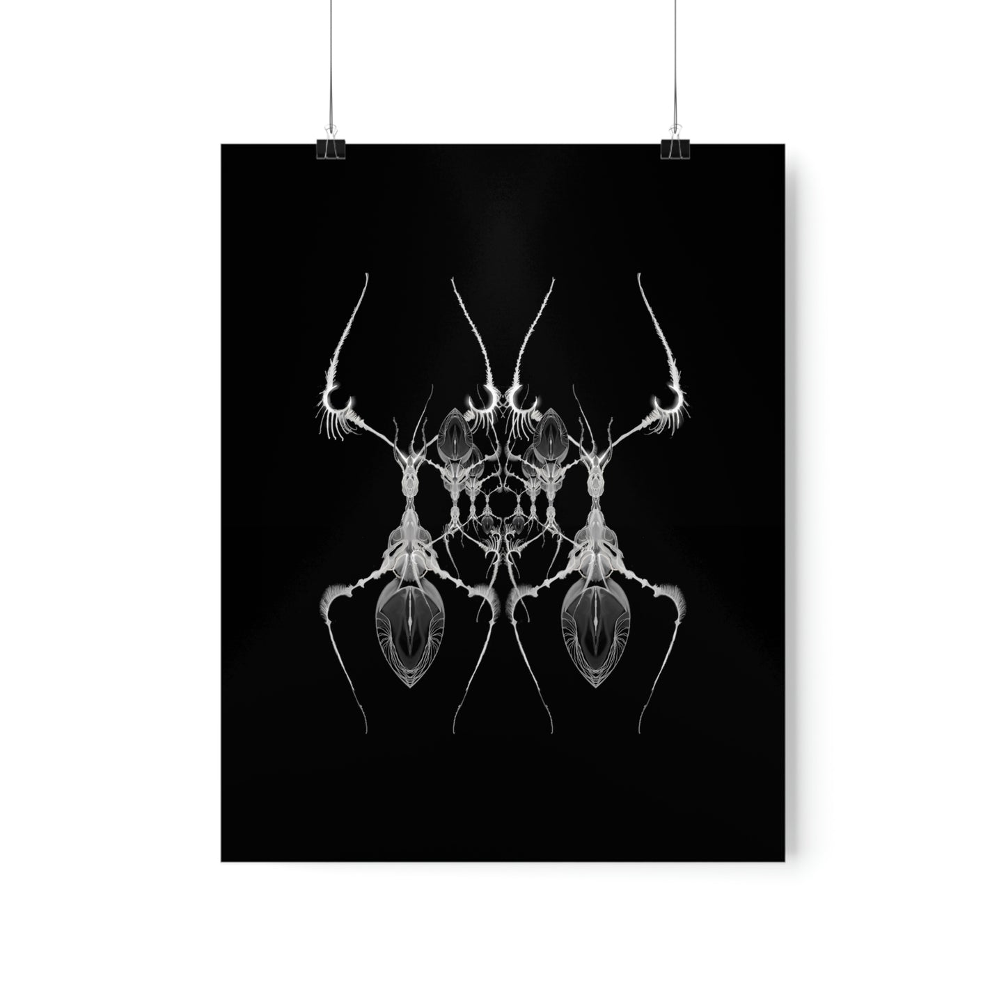 AntWeb Premium Matte Vertical Poster
