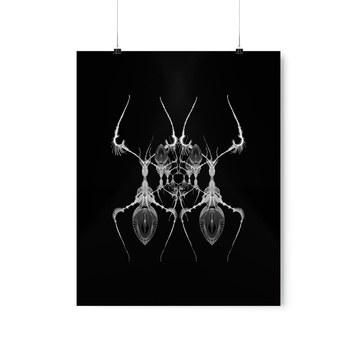 AntWeb Premium Matte Vertical Poster