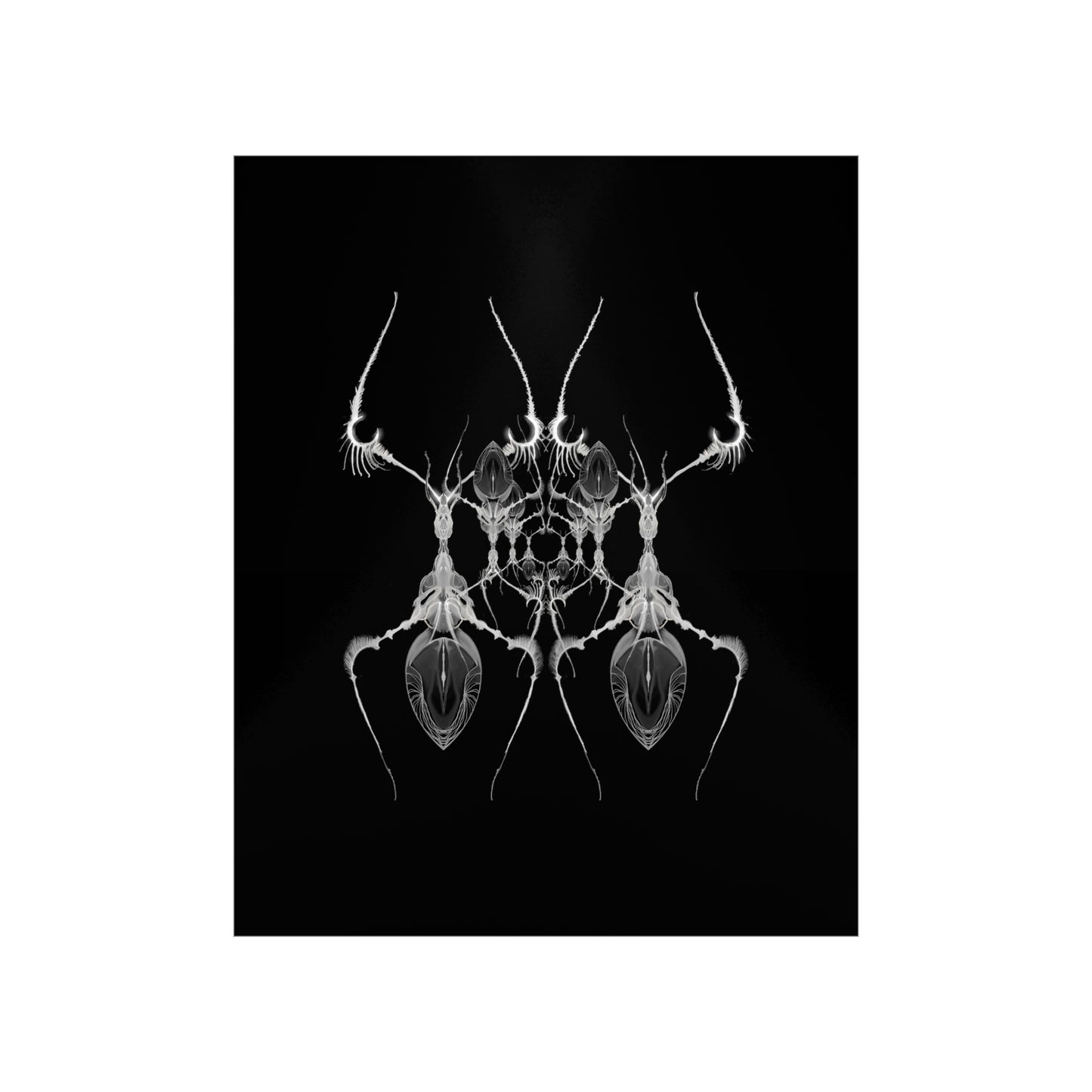 AntWeb Premium Matte Vertical Poster