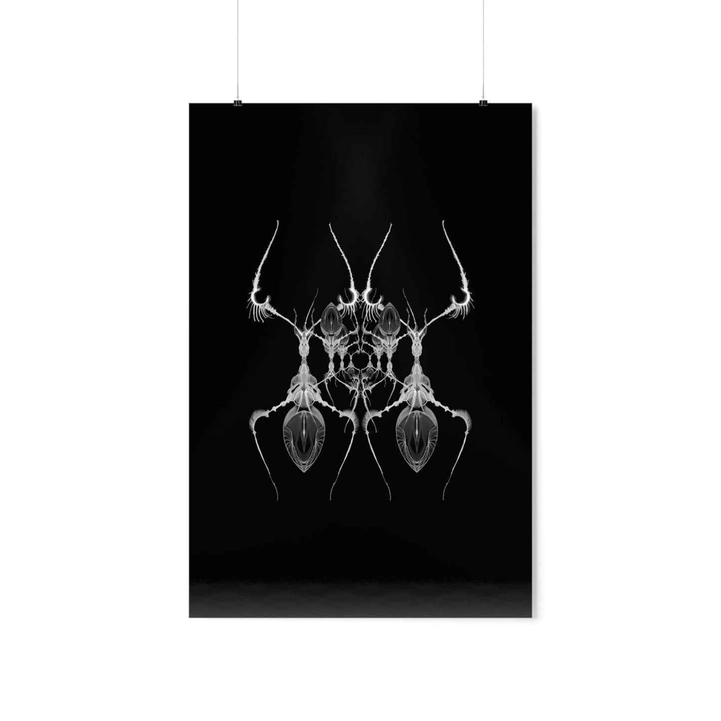 AntWeb Premium Matte Vertical Poster