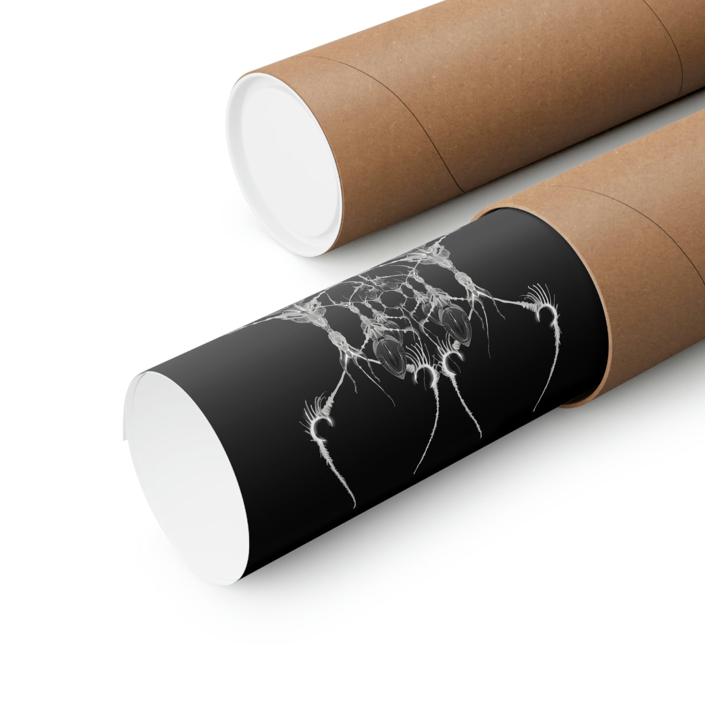 AntWeb Premium Matte Vertical Poster