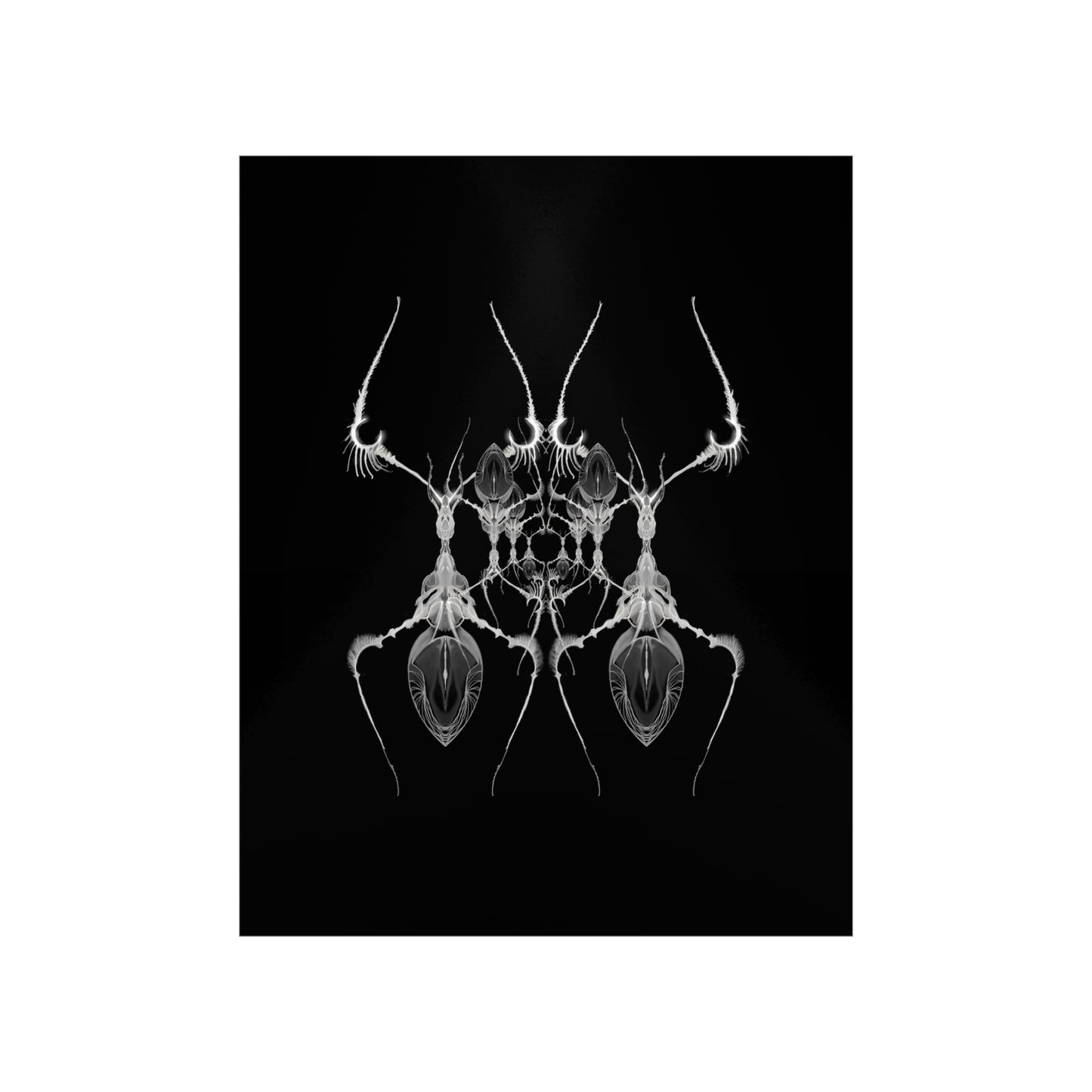AntWeb Premium Matte Vertical Poster