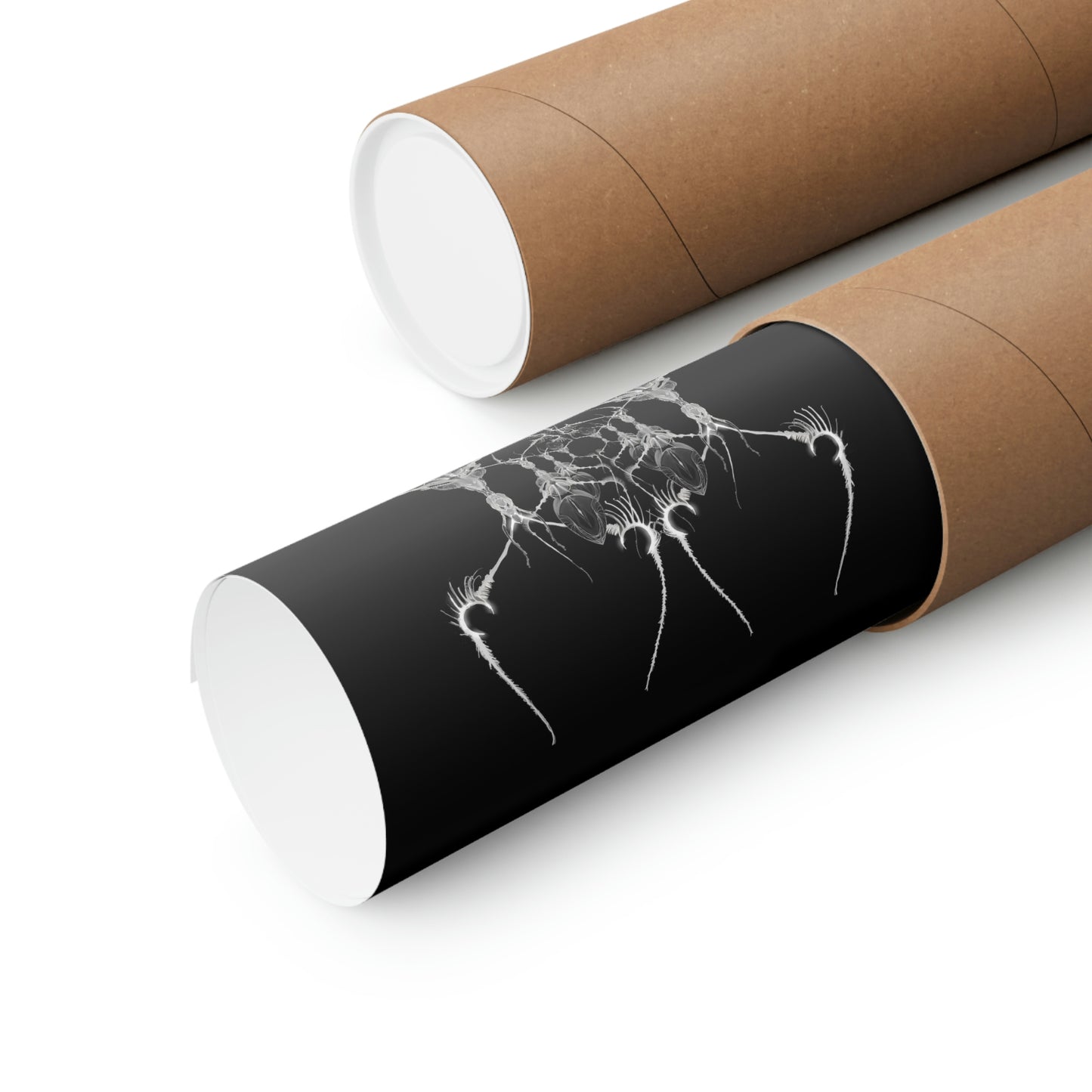 AntWeb Premium Matte Vertical Poster
