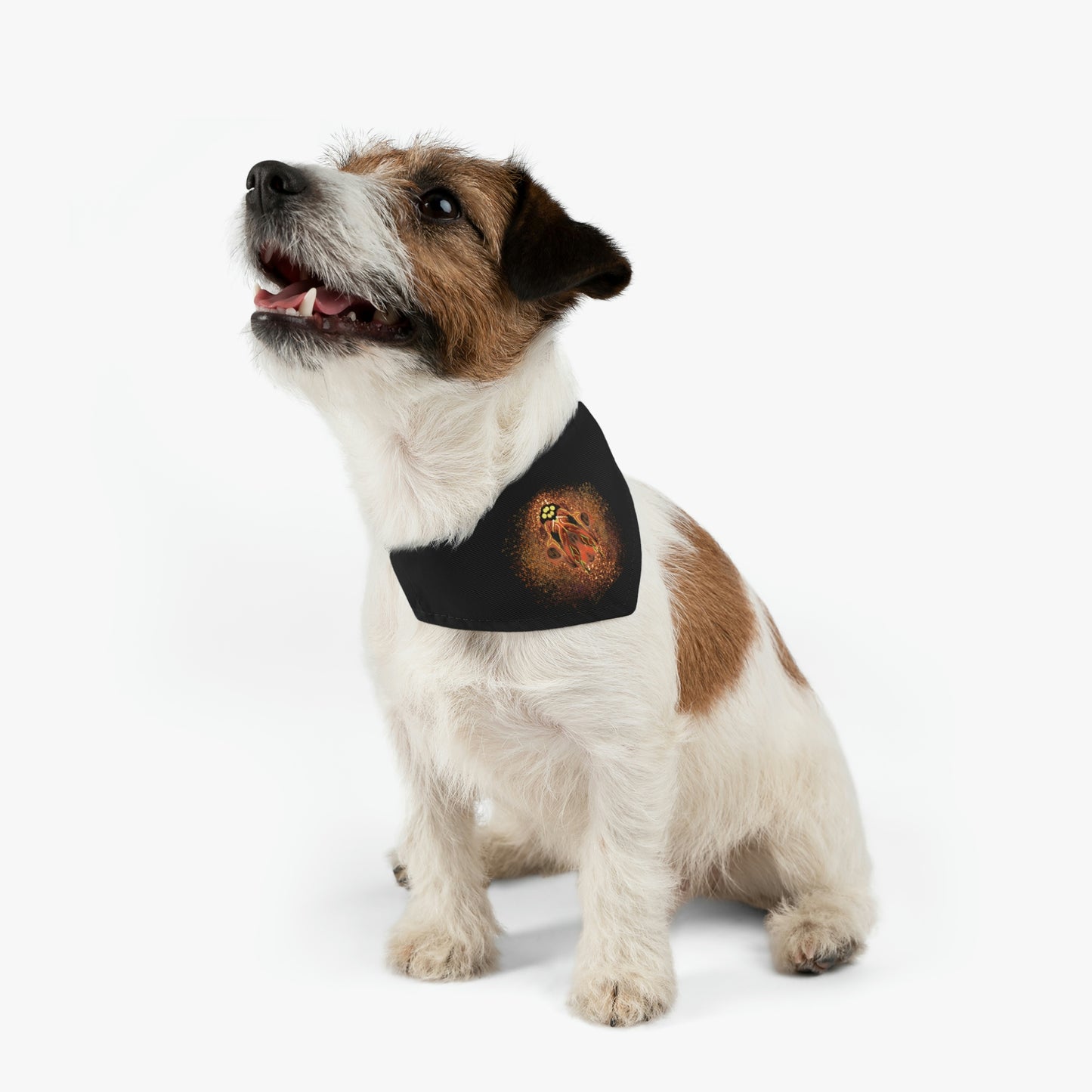 Fused Pet Bandana Collar