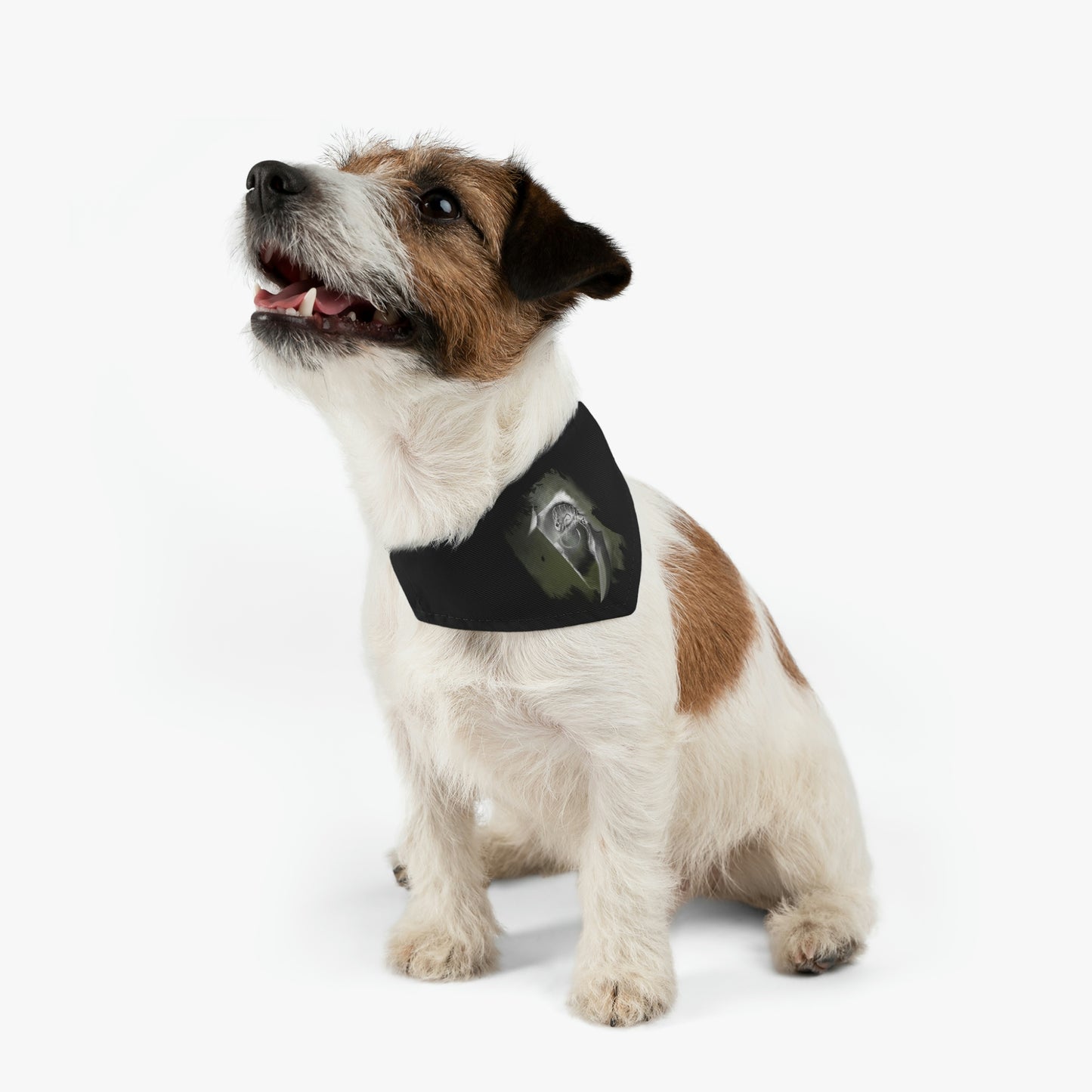 Critter #1 Pet Bandana Collar
