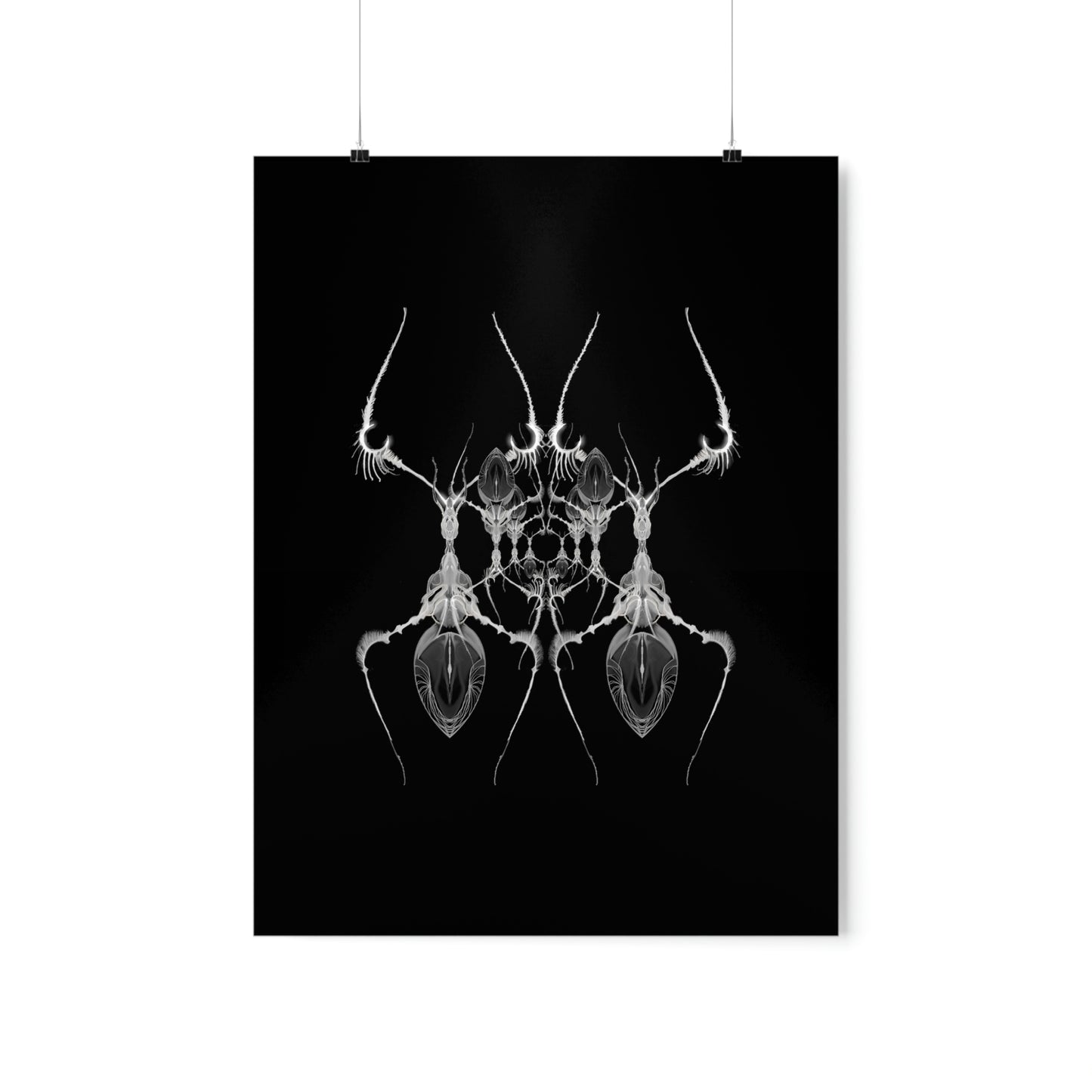 AntWeb Premium Matte Vertical Poster