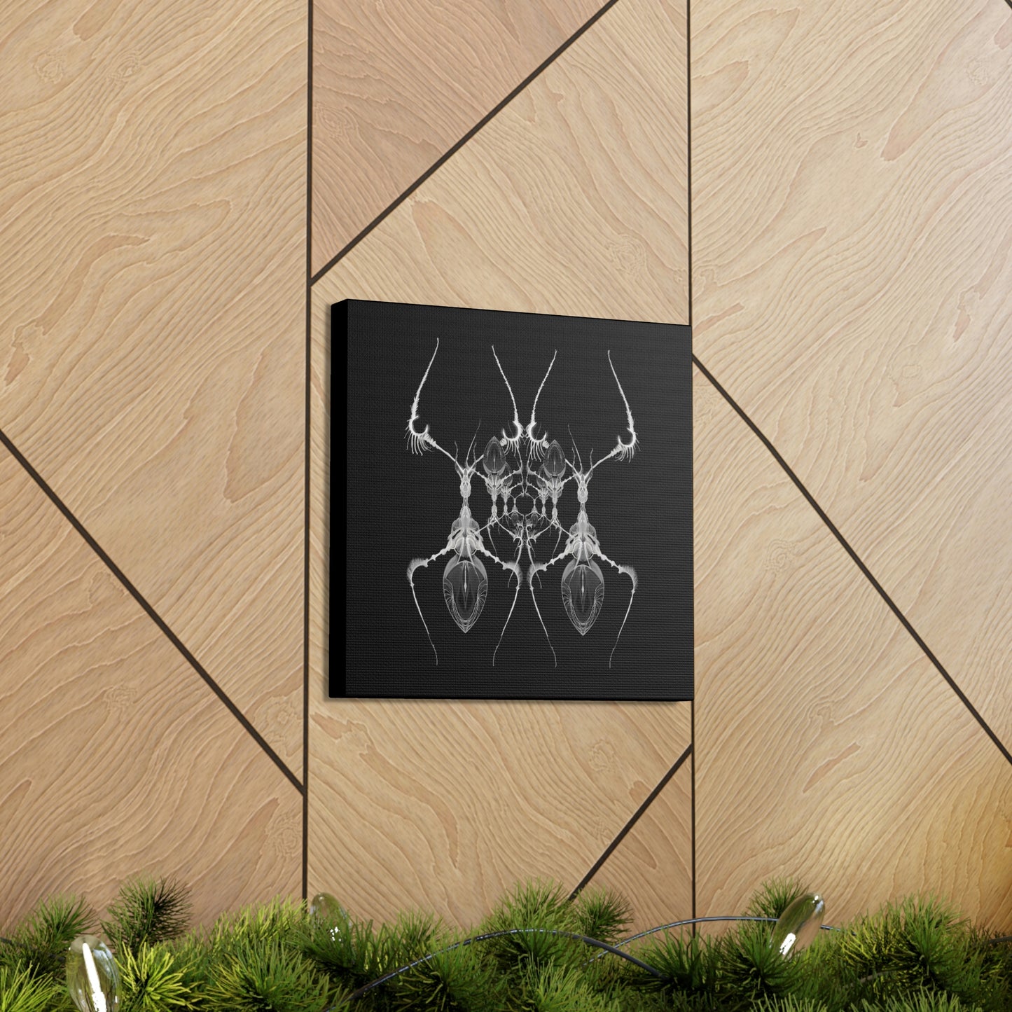AntWeb Canvas Gallery Wrap