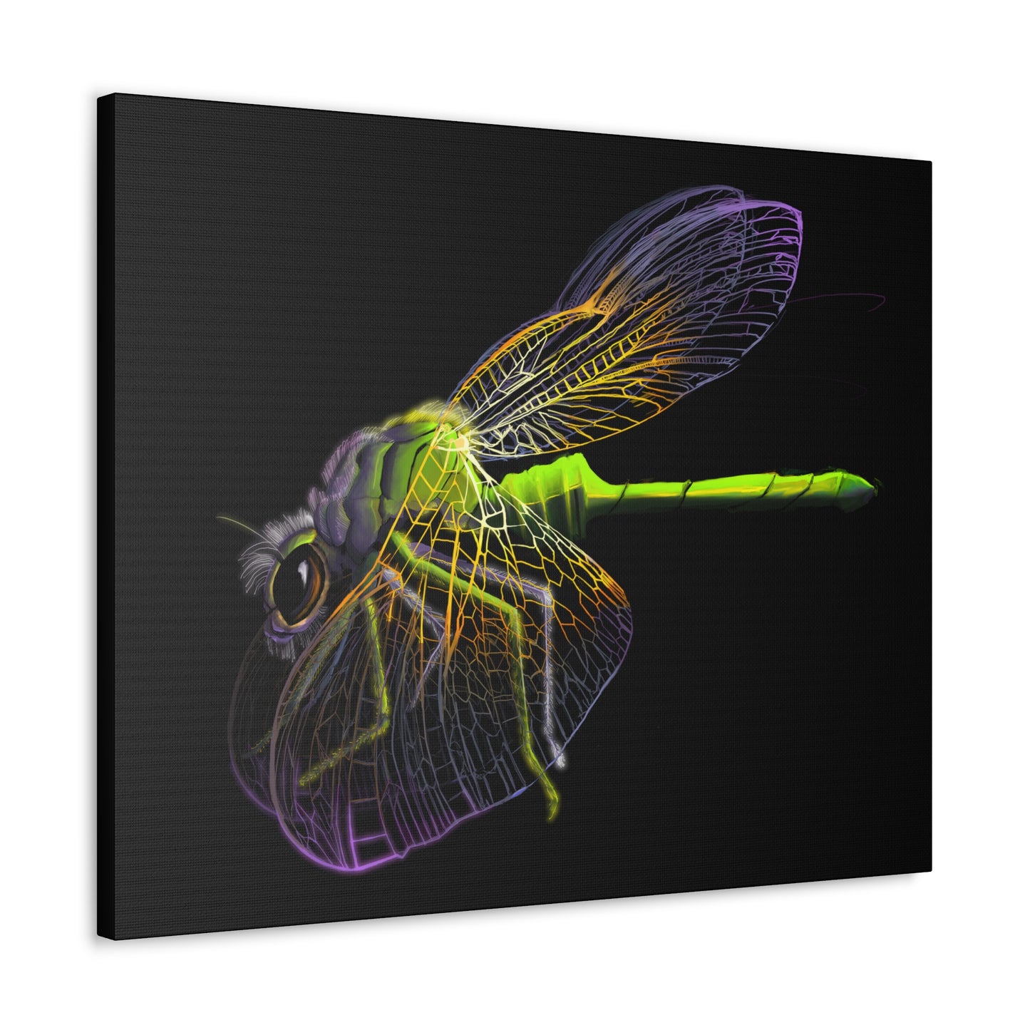 Dragonfly Canvas Gallery Wrap