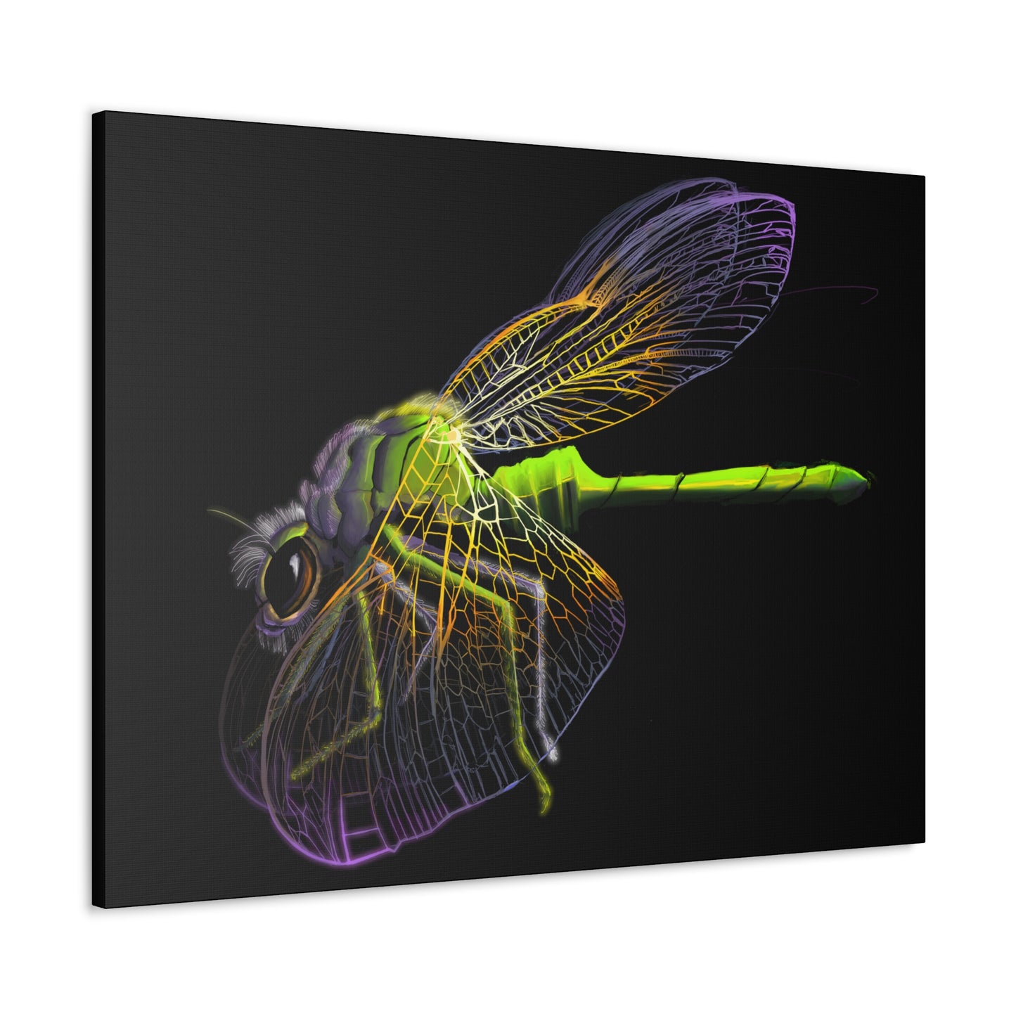 Dragonfly Canvas Gallery Wrap