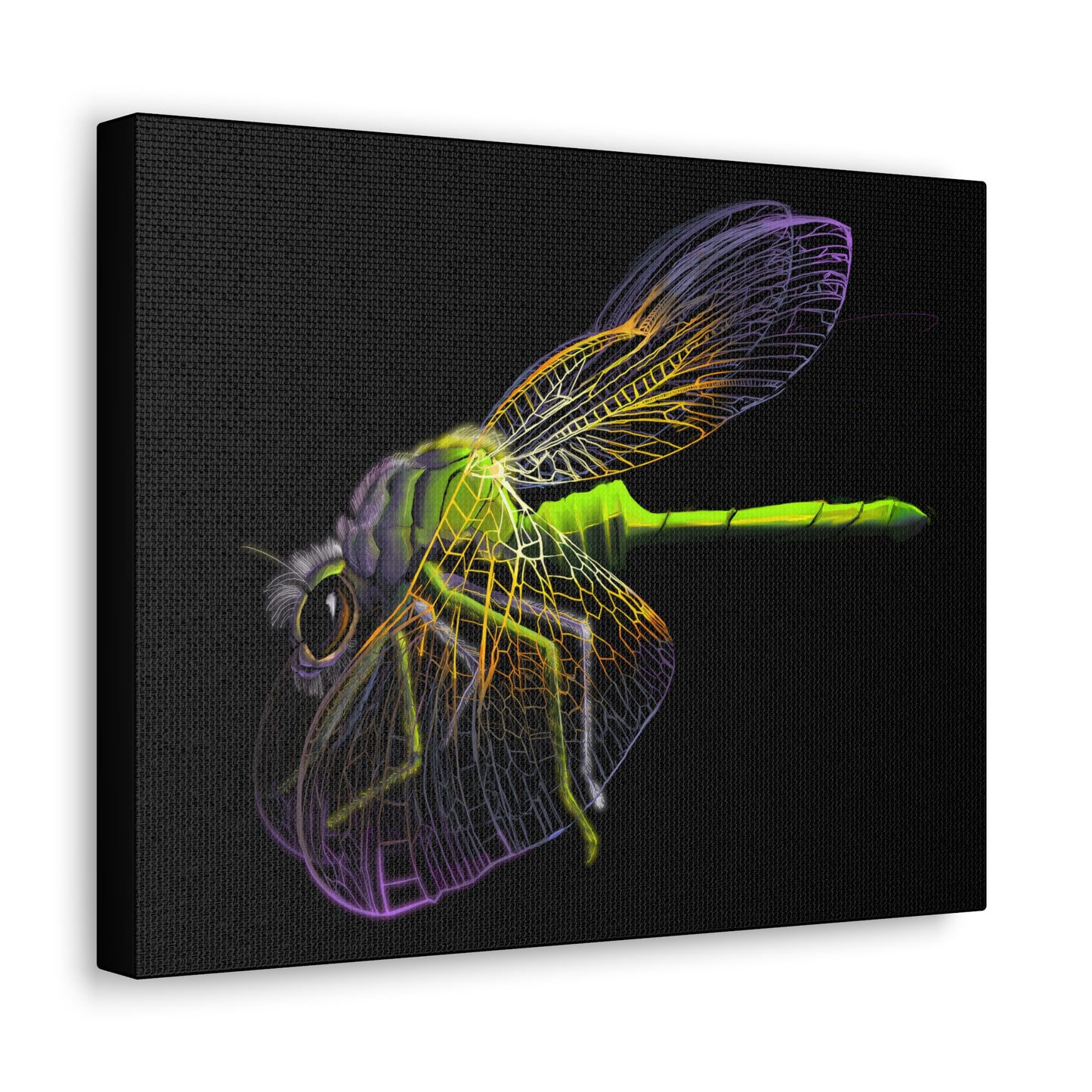 Dragonfly Canvas Gallery Wrap