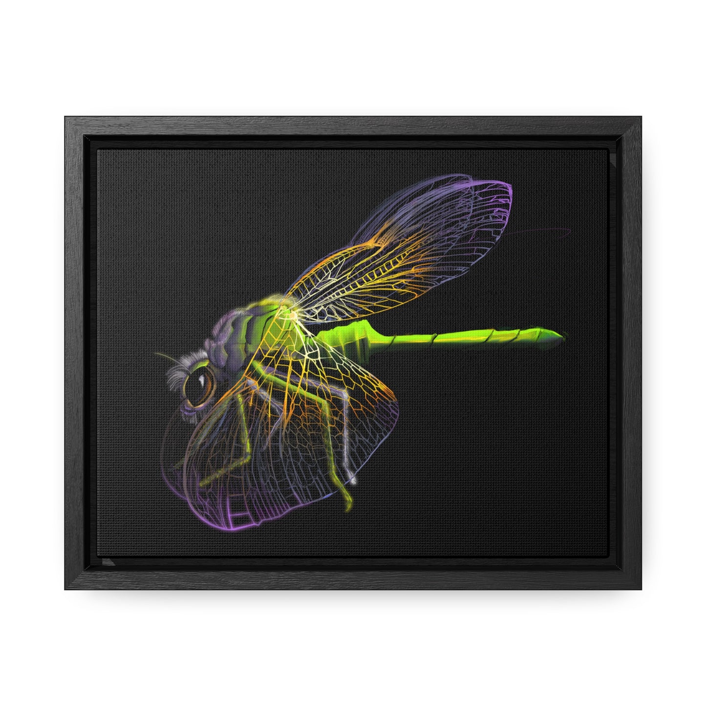 Dragonfly Gallery Canvas Wrap, Horizontal Frame