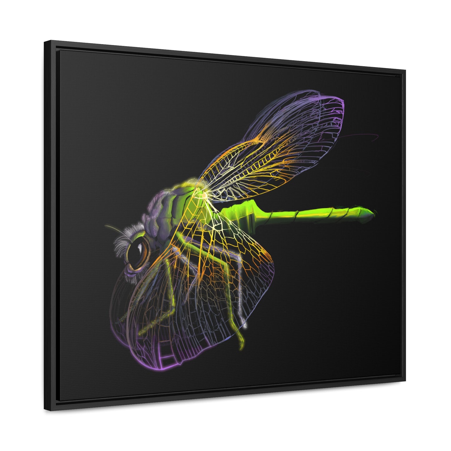 Dragonfly Gallery Canvas Wrap, Horizontal Frame
