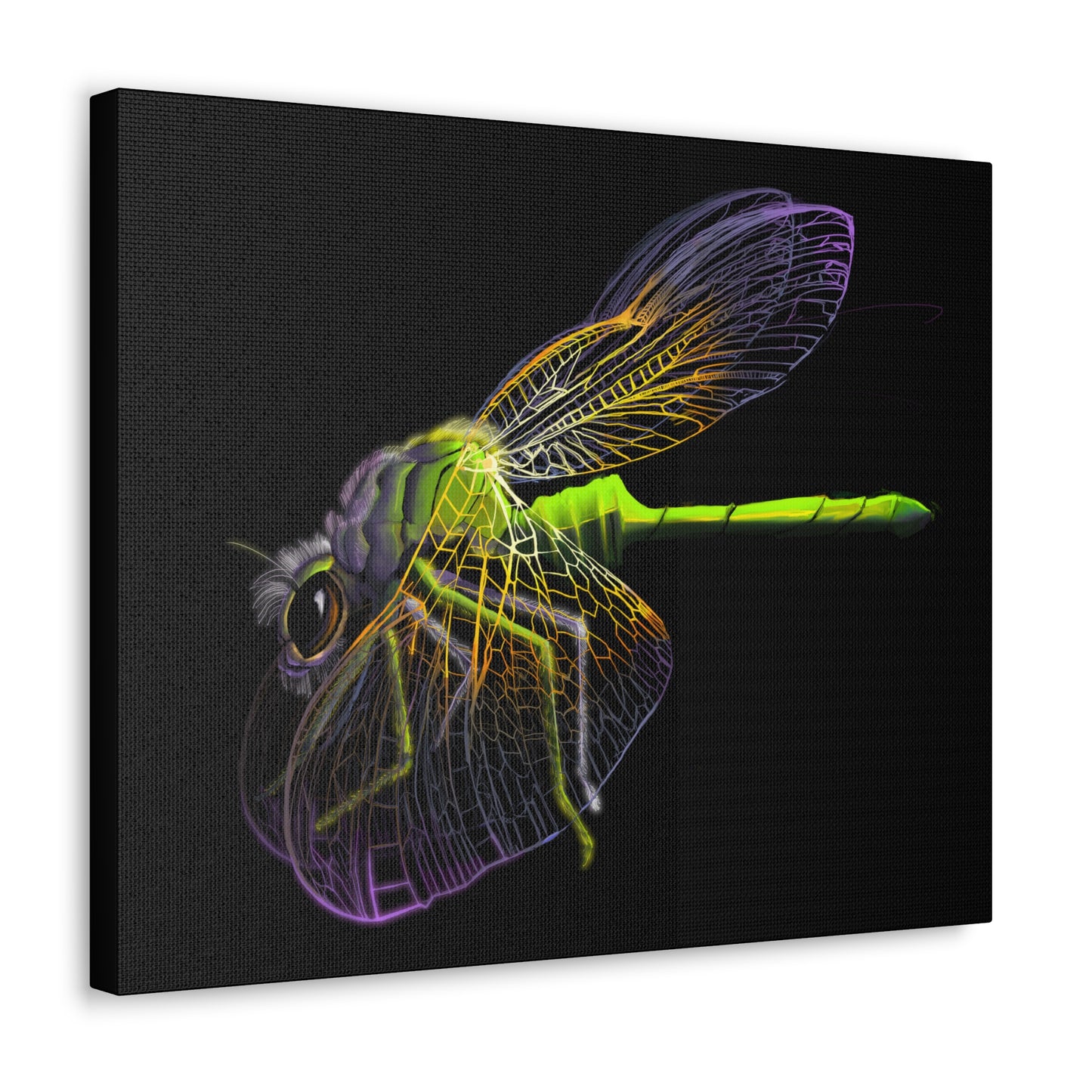 Dragonfly Canvas Gallery Wrap