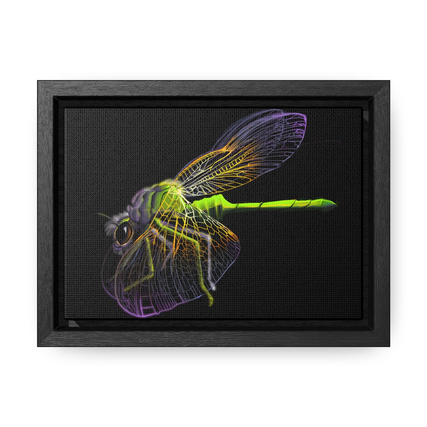 Dragonfly Gallery Canvas Wrap, Horizontal Frame
