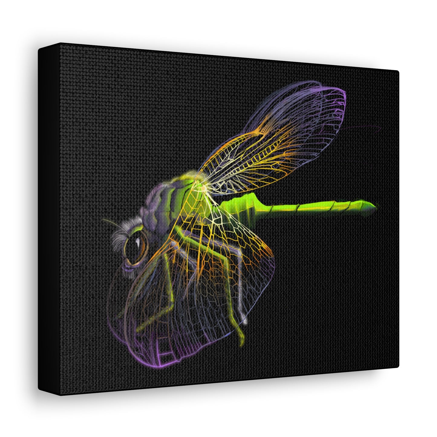 Dragonfly Canvas Gallery Wrap