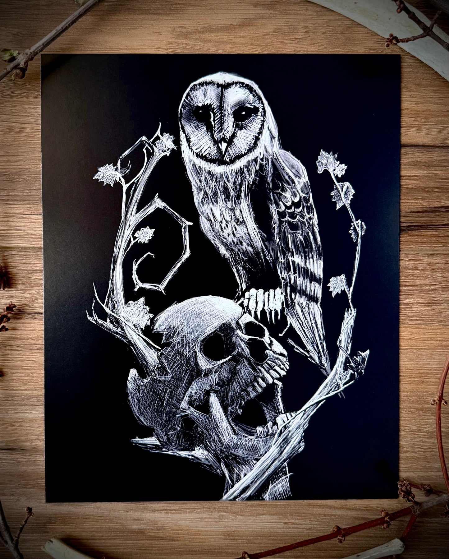 Skull and Owl Art Print
