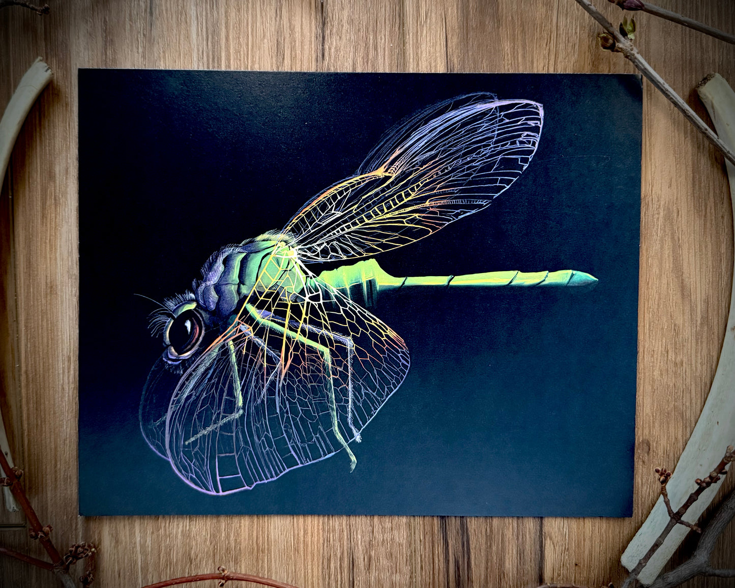 Dragonfly Art Print