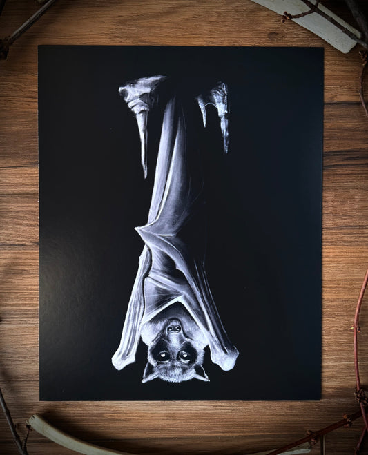 He Can't Sleep Art Print